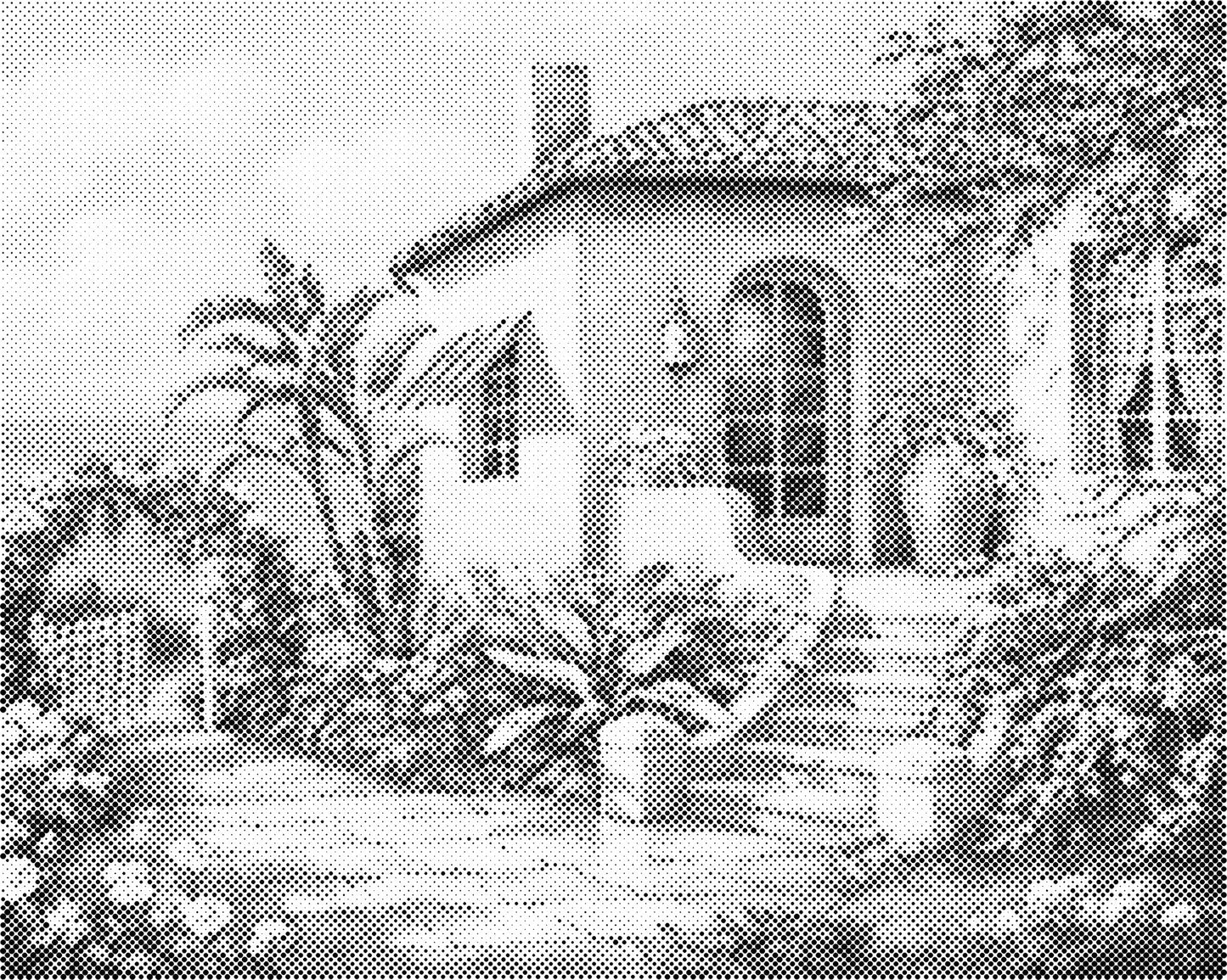 DOT Painting Landschappen - Voorbedrukt Canvas (40x50 cm of 60x75 cm)