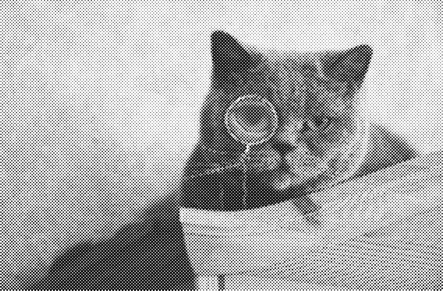 DOT Painting Kattenrassen