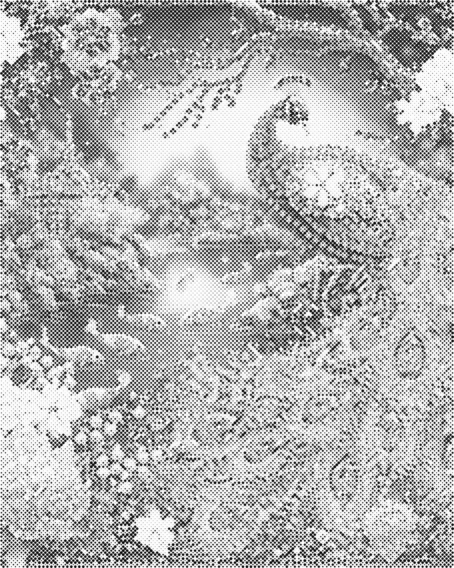 DOT Painting – Dieren op Canvas (40x50cm of 60x75cm) – Met of zonder stiften