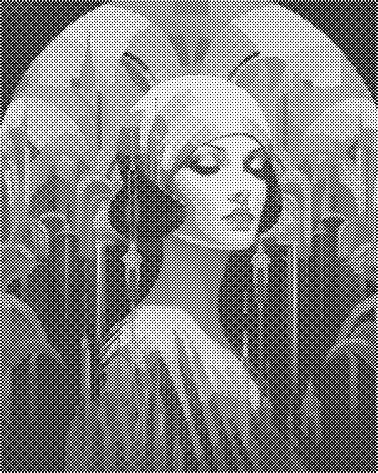 DOT Painting: Eenkleurige Stippelkunst Portretten