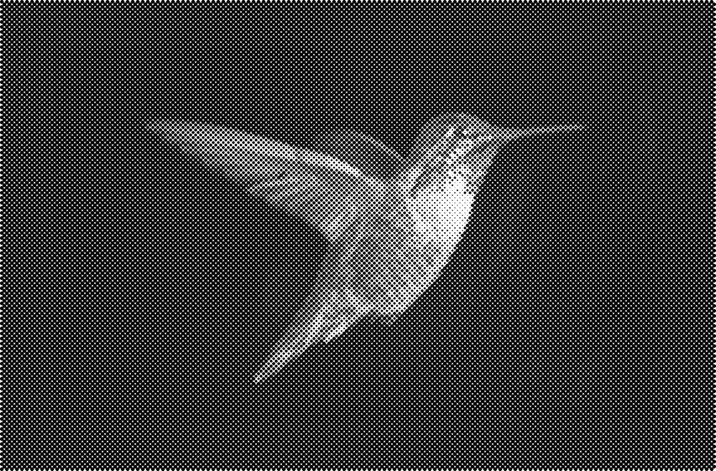 DOT Painting Dieren - (Paarden, Giraf, Vogels) - Verkrijgbaar in 40x60cm, 50x75cm, 60x90cm