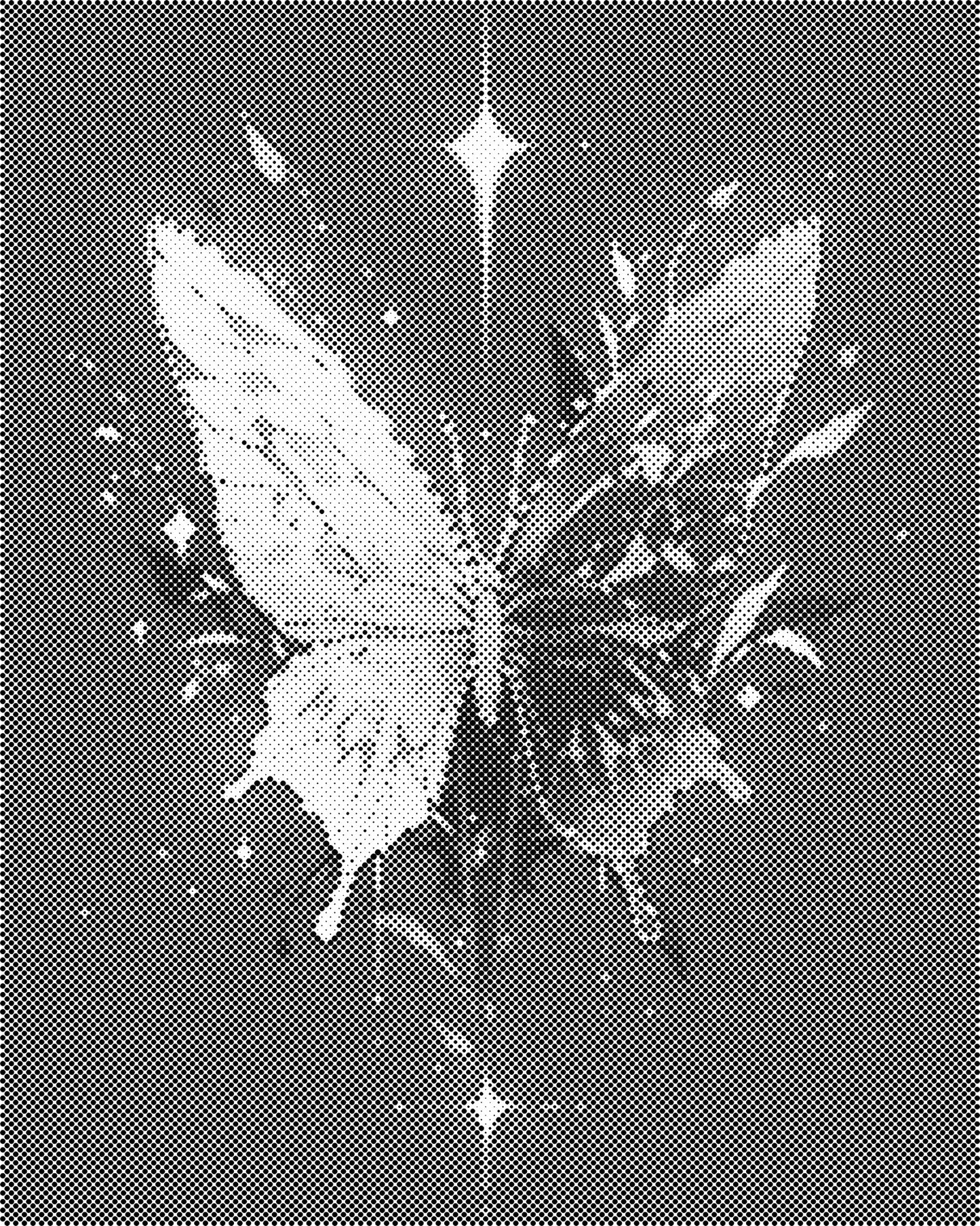 DOT Painting Vlinder - Magical Insects