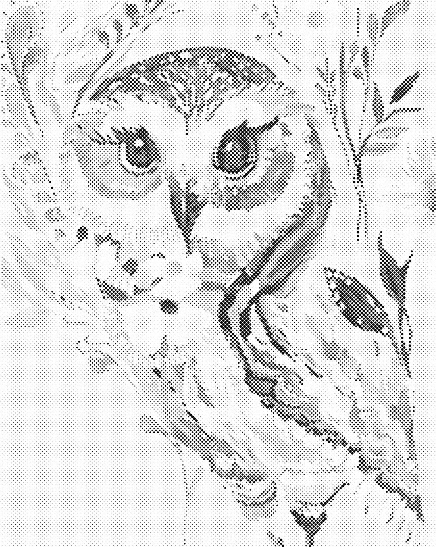 DOT Painting - Dieren op Canvas (40x50cm / 60x75cm)