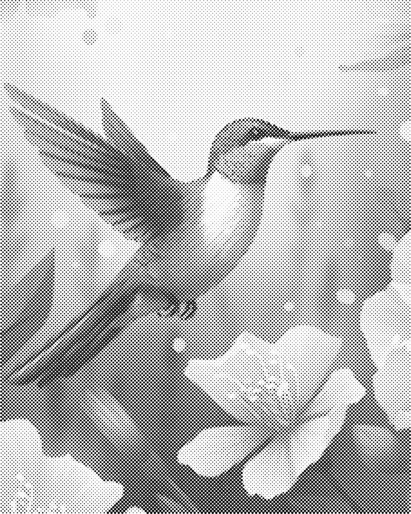 DOT Painting - Dieren op Canvas (40x50cm / 60x75cm)