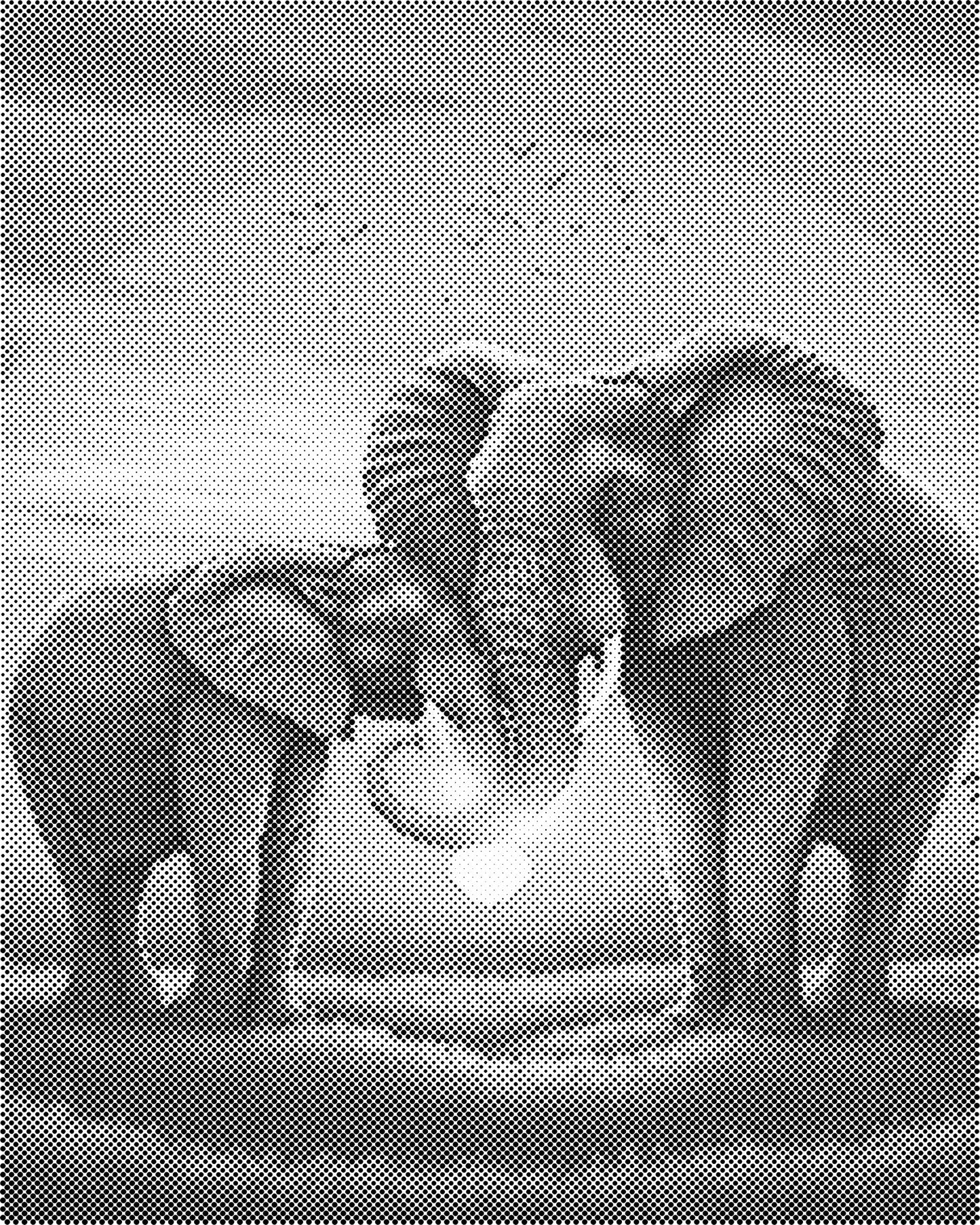 DOT Painting 40x50cm - Olifanten Design