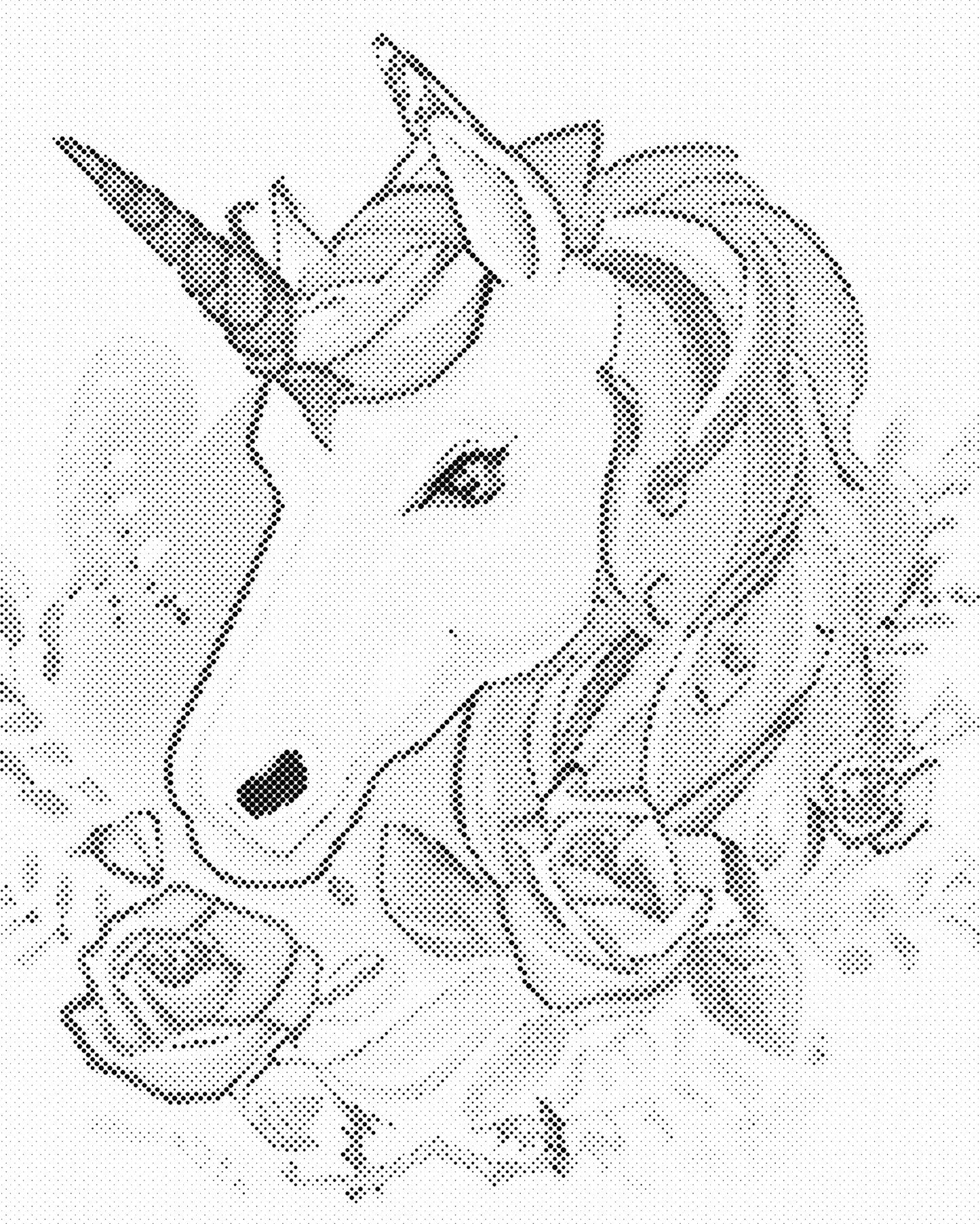 DOT Painting - Dieren op Canvas (40x50cm / 60x75cm)