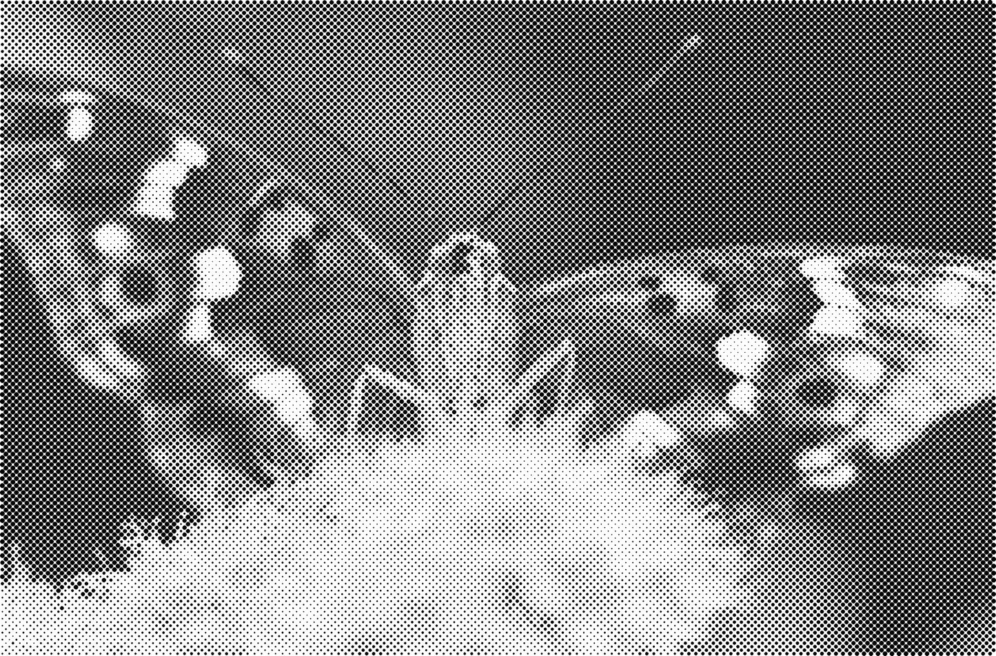 DOT Painting Dieren - Katten en Vogels