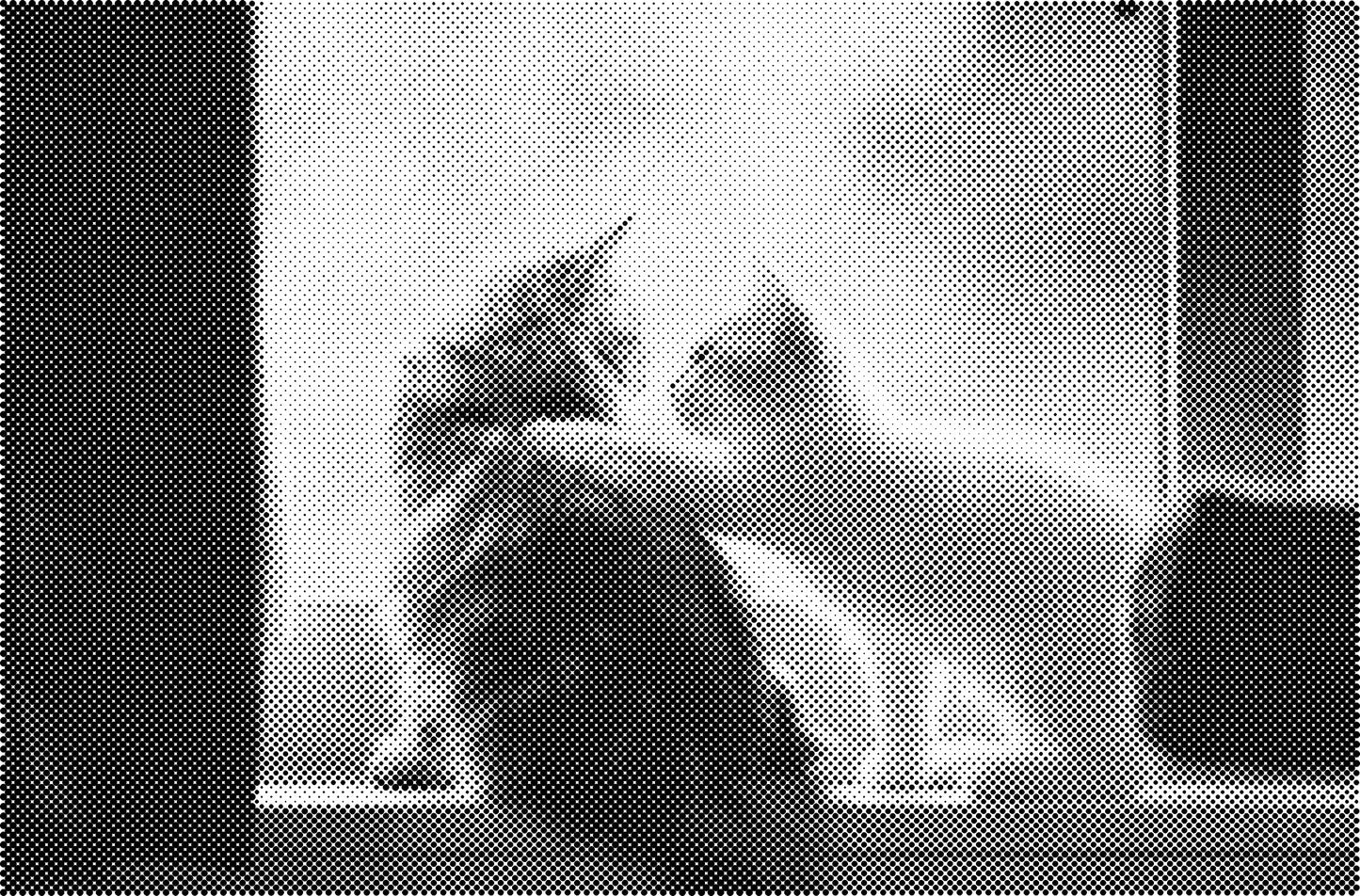 DOT Painting Kattenrassen