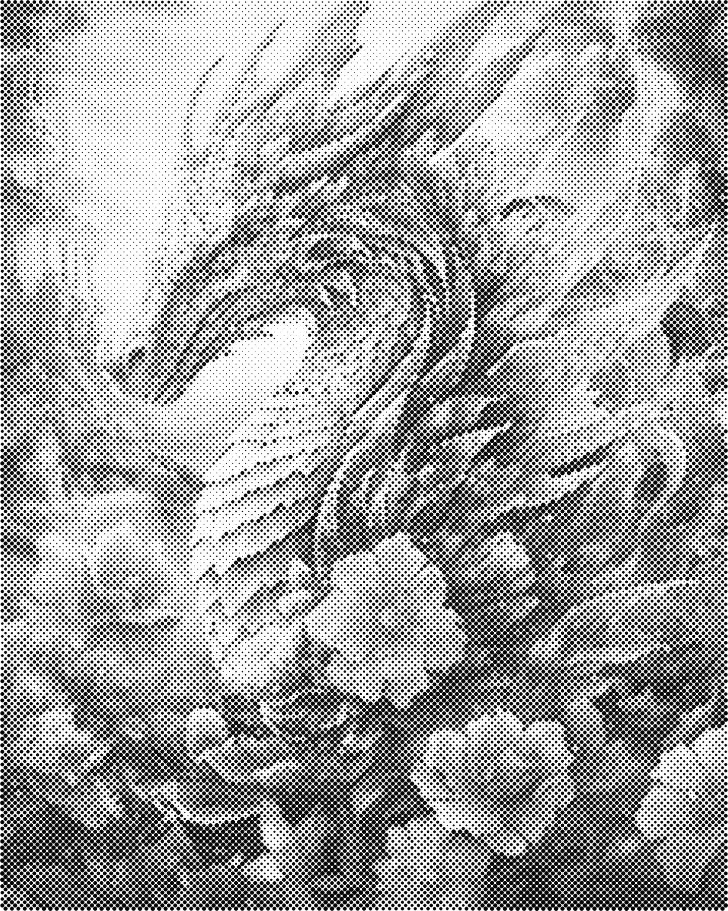 DOT Painting - Dieren op Canvas (40x50cm / 60x75cm)