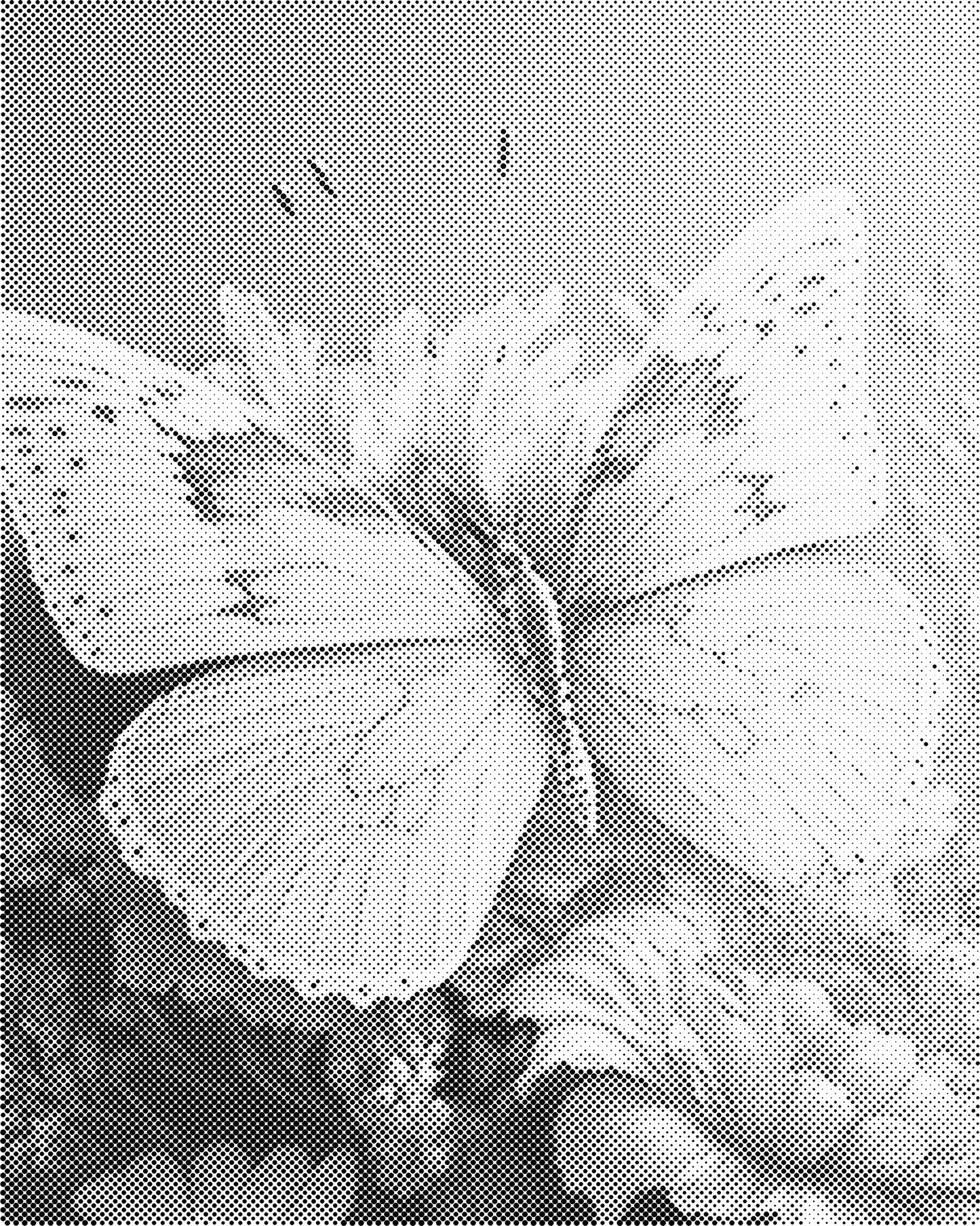 DOT Painting 40x50cm Magical Butterflies - Eén Kleur Stippelkunst