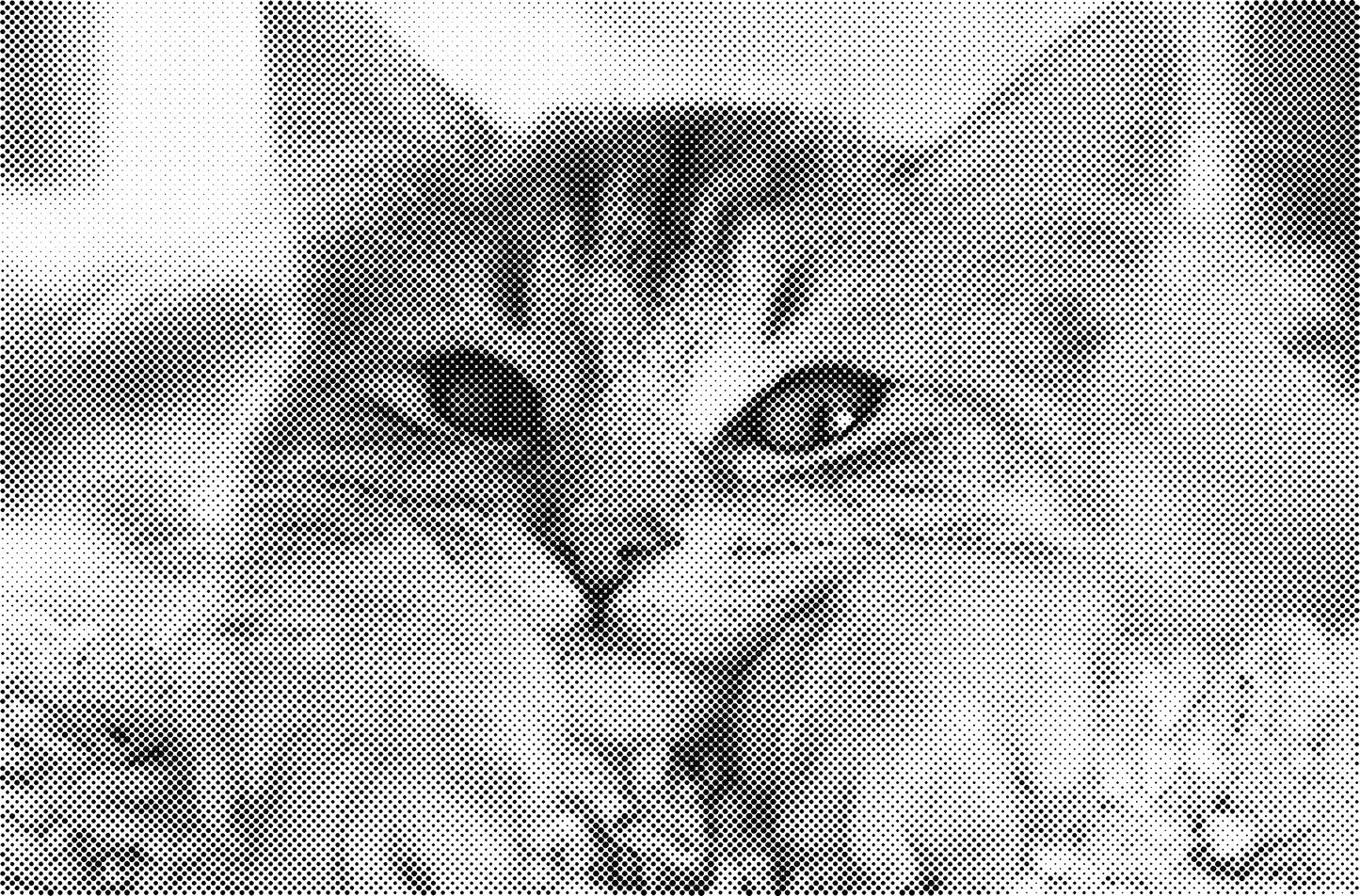 DOT Painting Kattenrassen