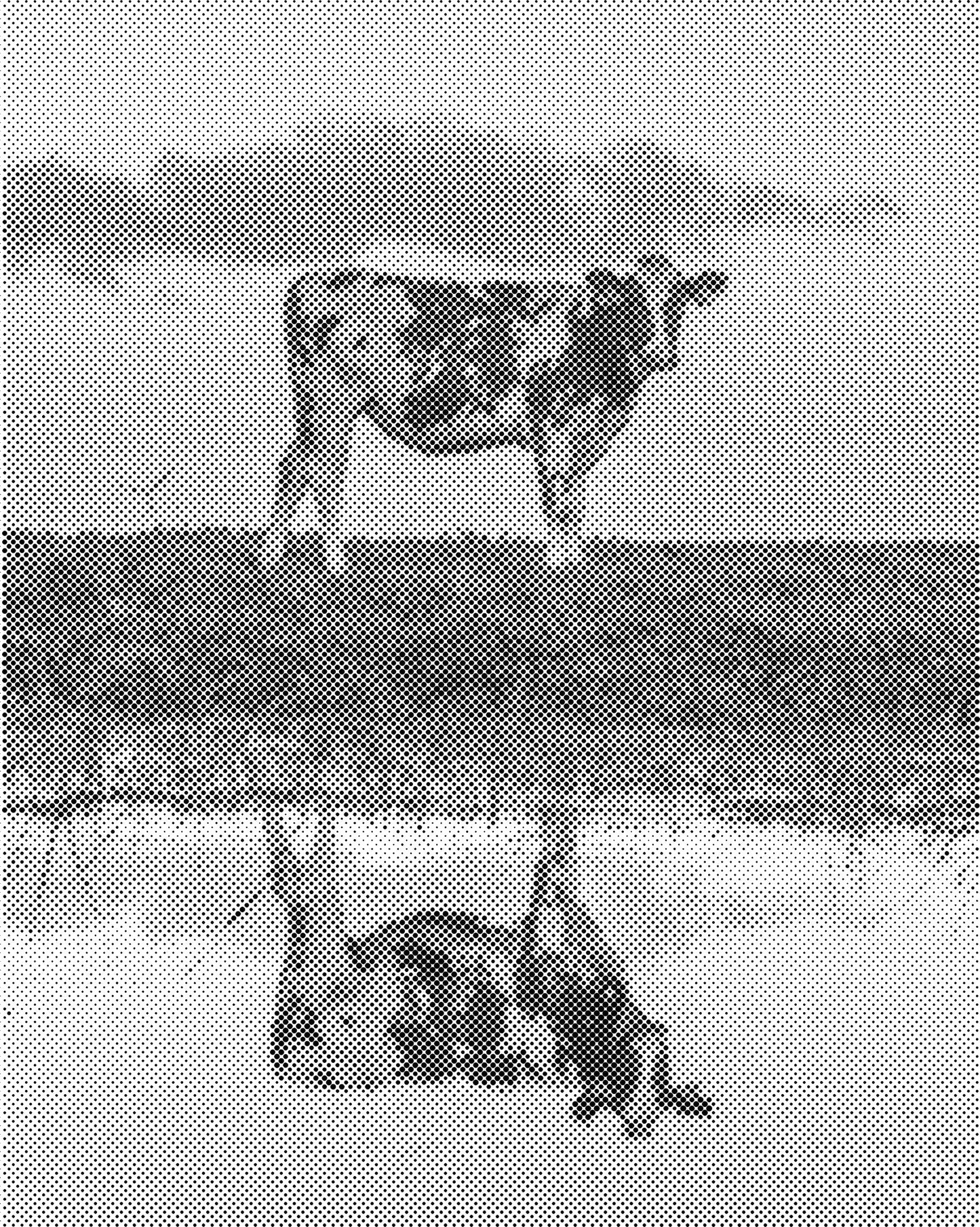 DOT Painting Dieren - Grappige Dieren - 40x50cm of 60x75cm