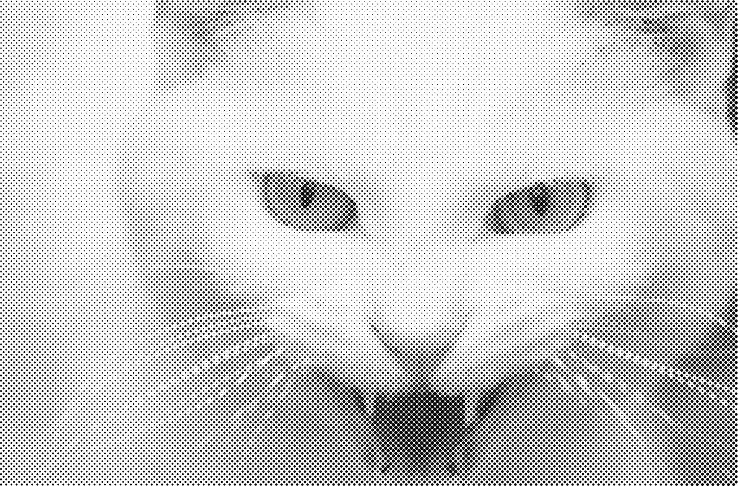 DOT Painting Dieren - Katten en Vogels