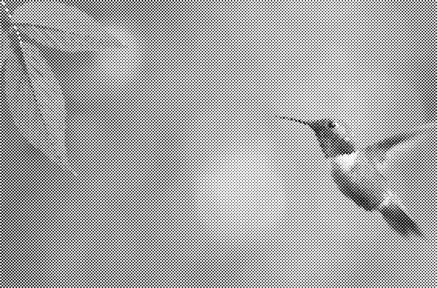 DOT Painting Dieren - (Paarden, Giraf, Vogels) - Verkrijgbaar in 40x60cm, 50x75cm, 60x90cm