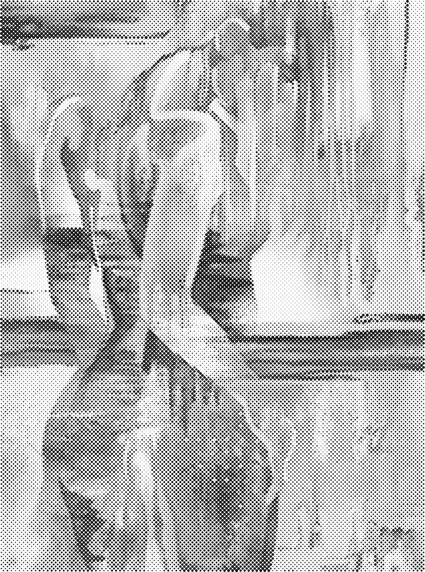 DOT Painting - Dikke Dames en Vrouwelijke Portretten