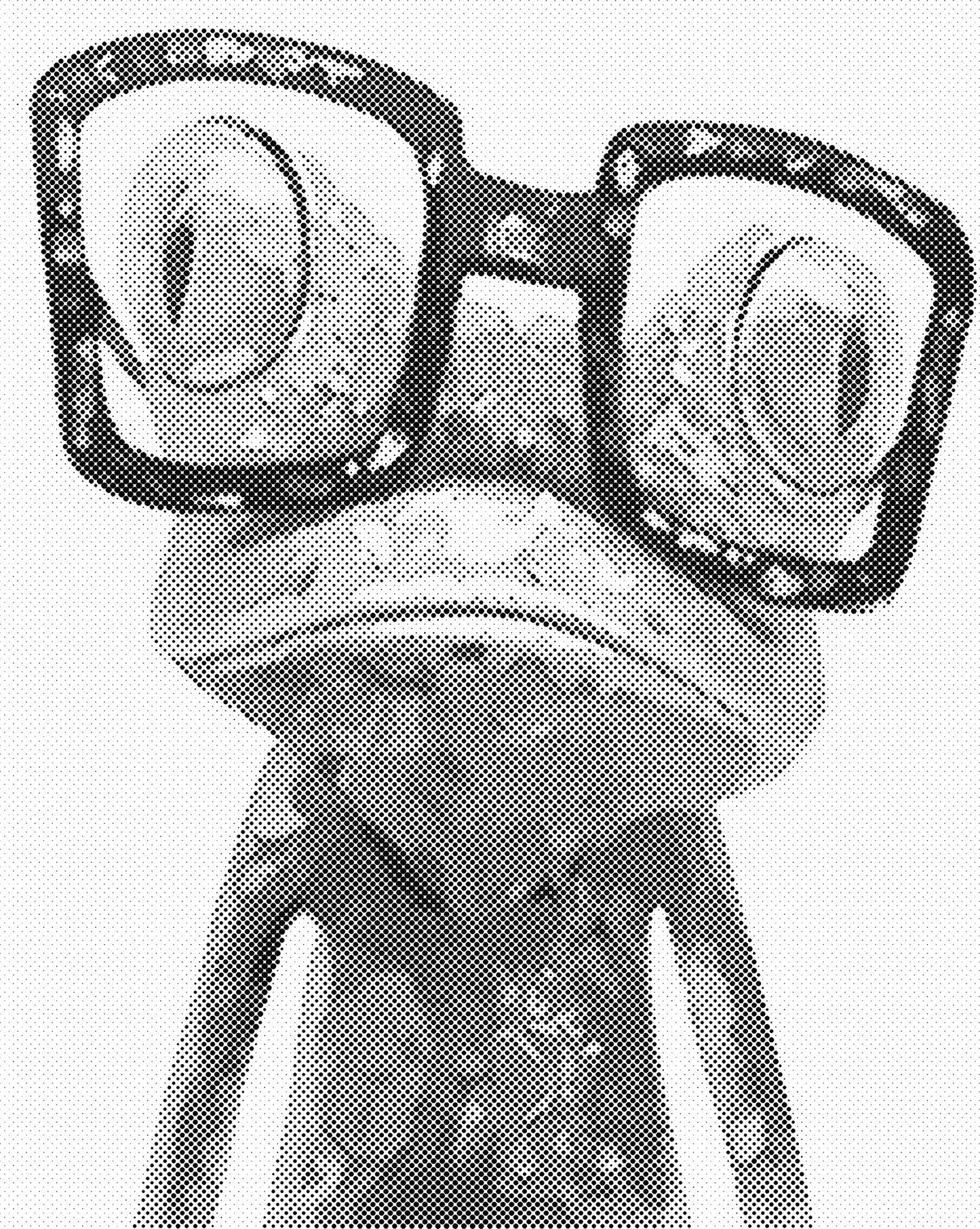 DOT Painting Dieren - Grappige Dieren - 40x50cm of 60x75cm