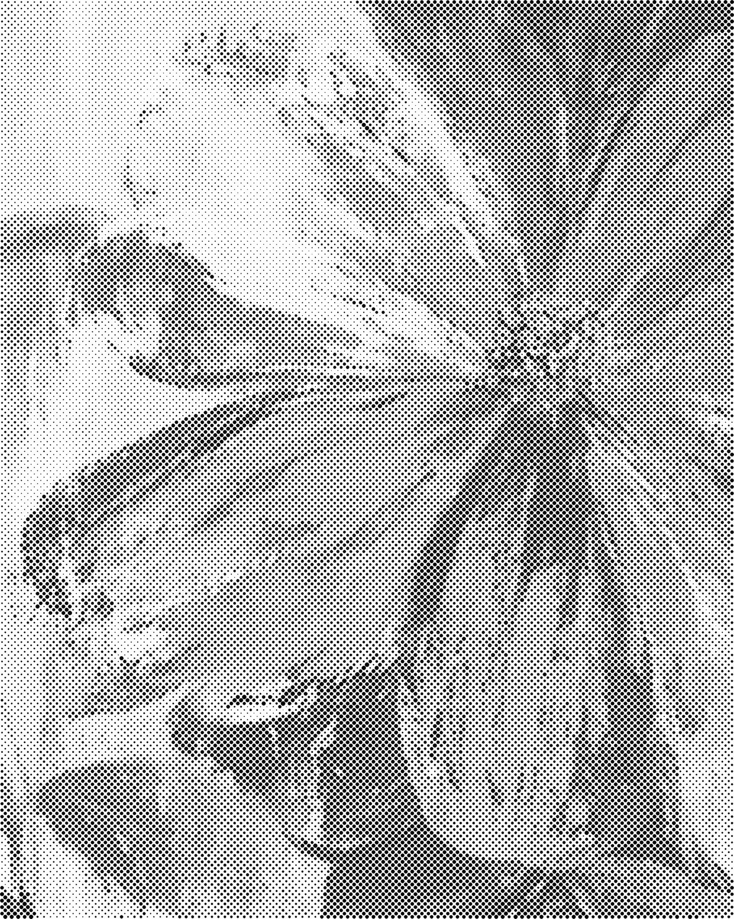 DOT Painting 40x50cm - Bloemen en Planten in Één Kleur