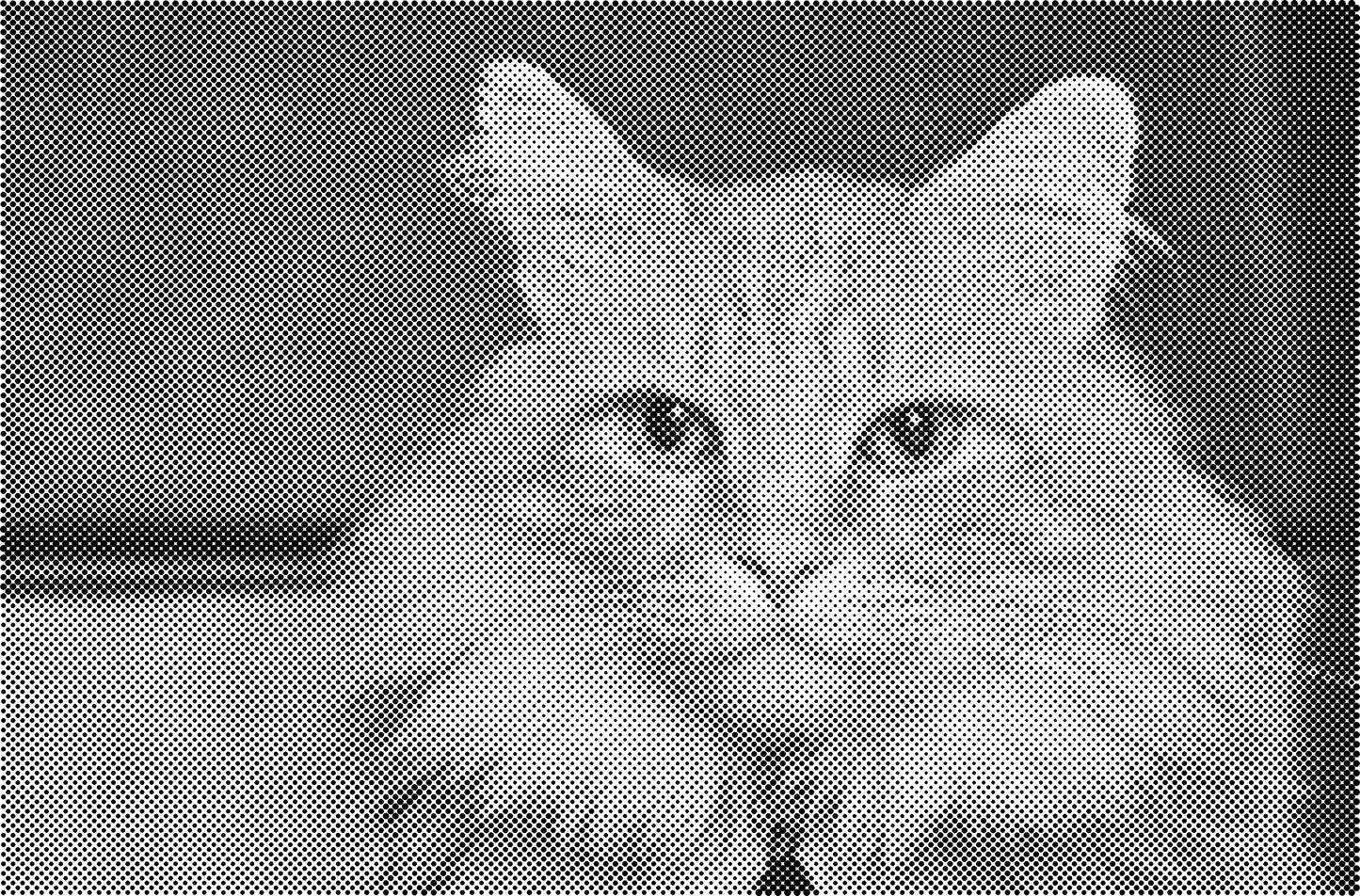 DOT Painting Kattenrassen