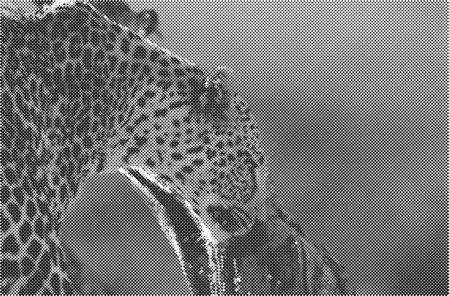 DOT Painting Big Cats - Leeuw, Tijger en Luipaard