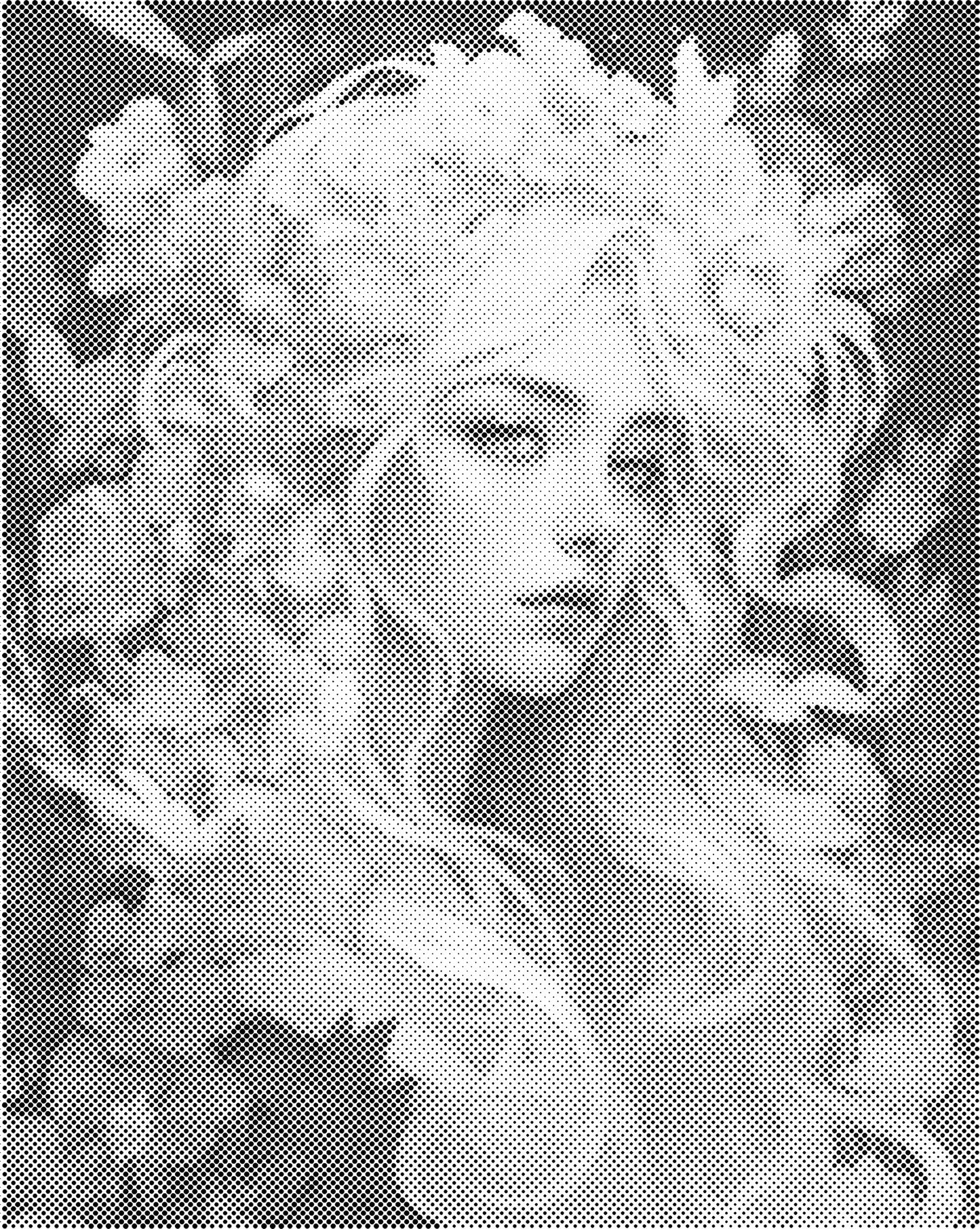 DOT Painting – Vrouwen | 40x50cm of 60x75cm