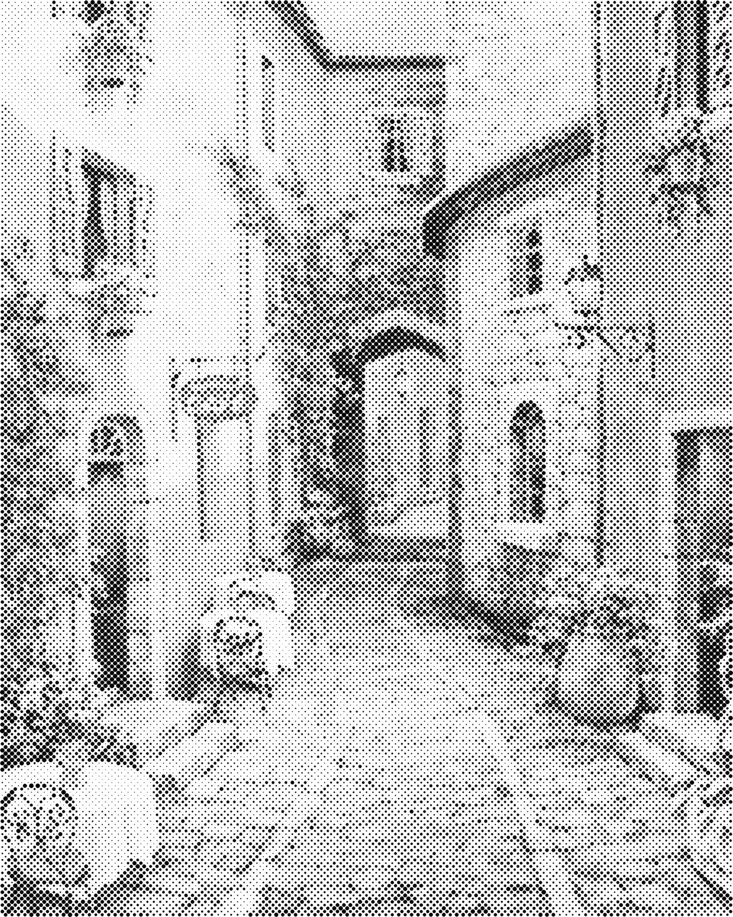 DOT Painting Landschappen - Voorbedrukt Canvas (40x50 cm of 60x75 cm)