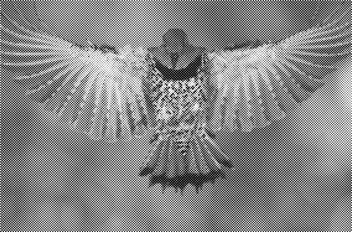 DOT Painting Dieren - Katten en Vogels