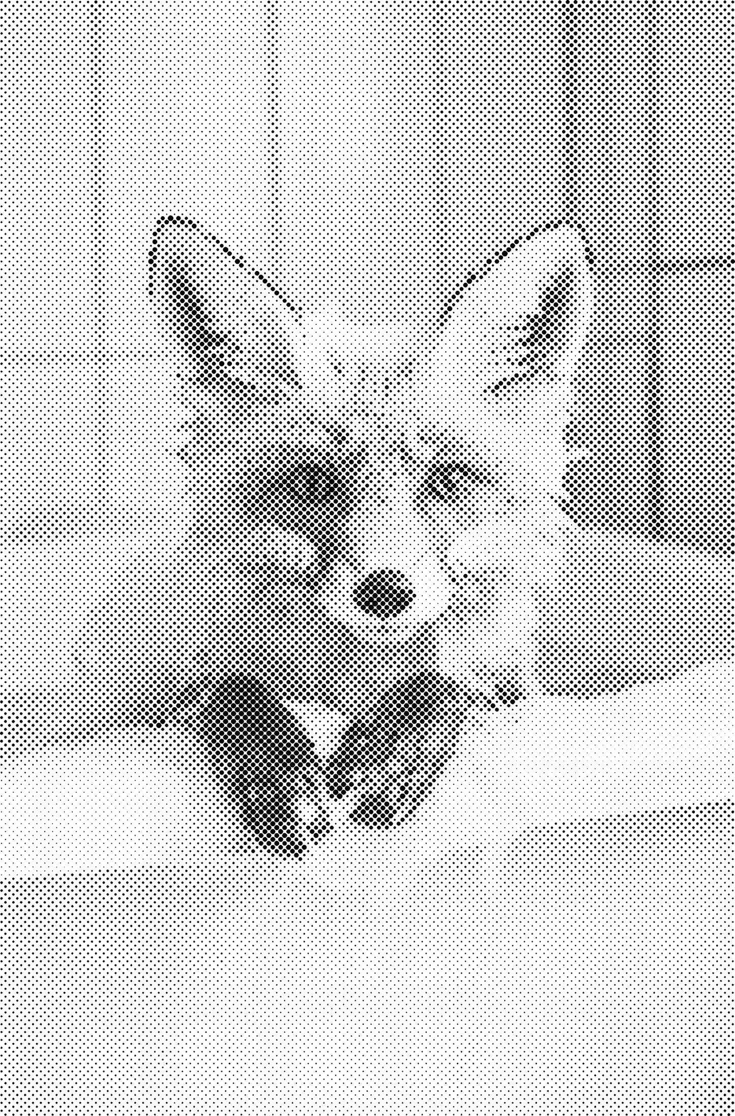 DOT Painting – Dieren in Bad (40x60cm / 50x75cm / 60x90cm)