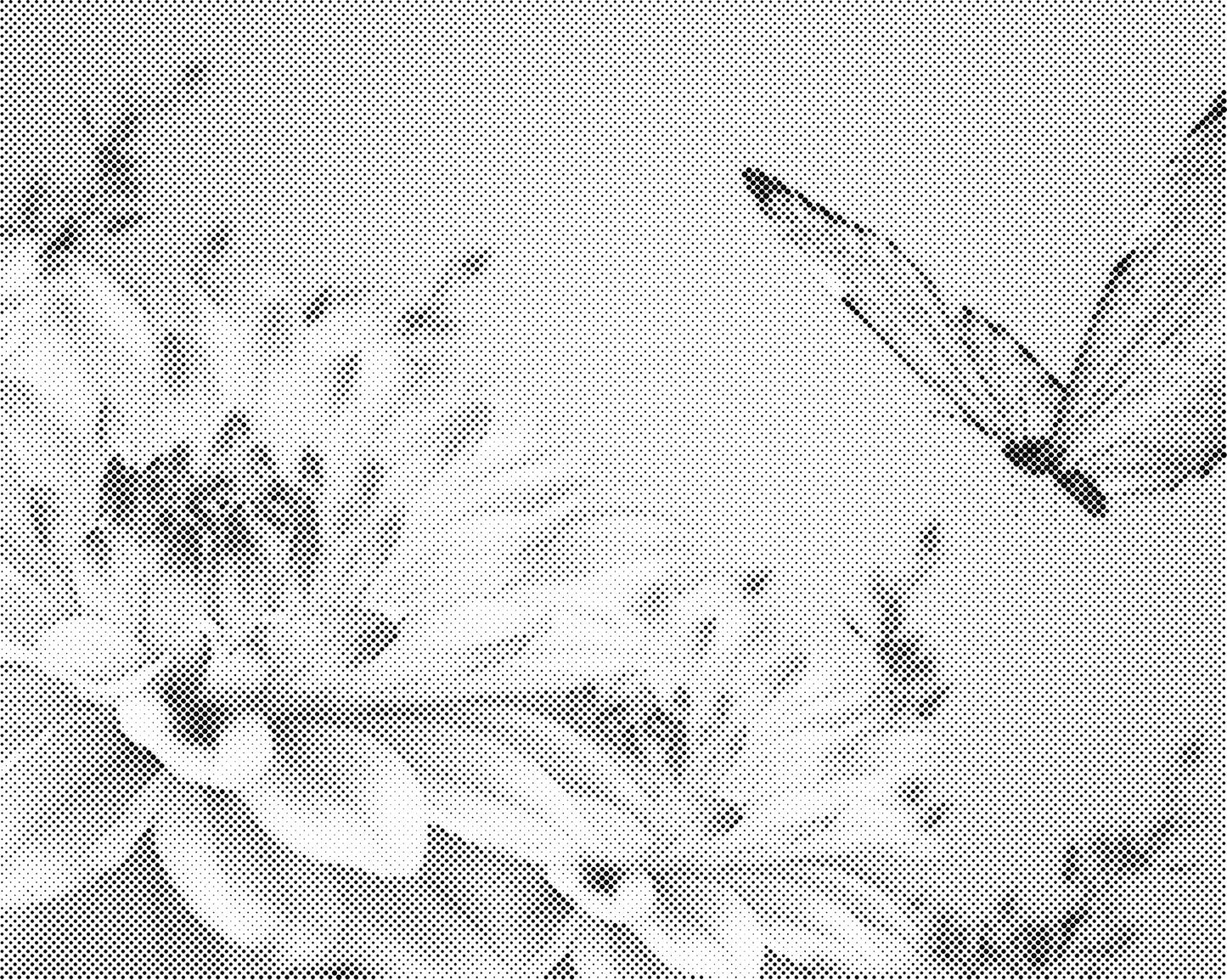 DOT Painting Vlinder - Magical Insects