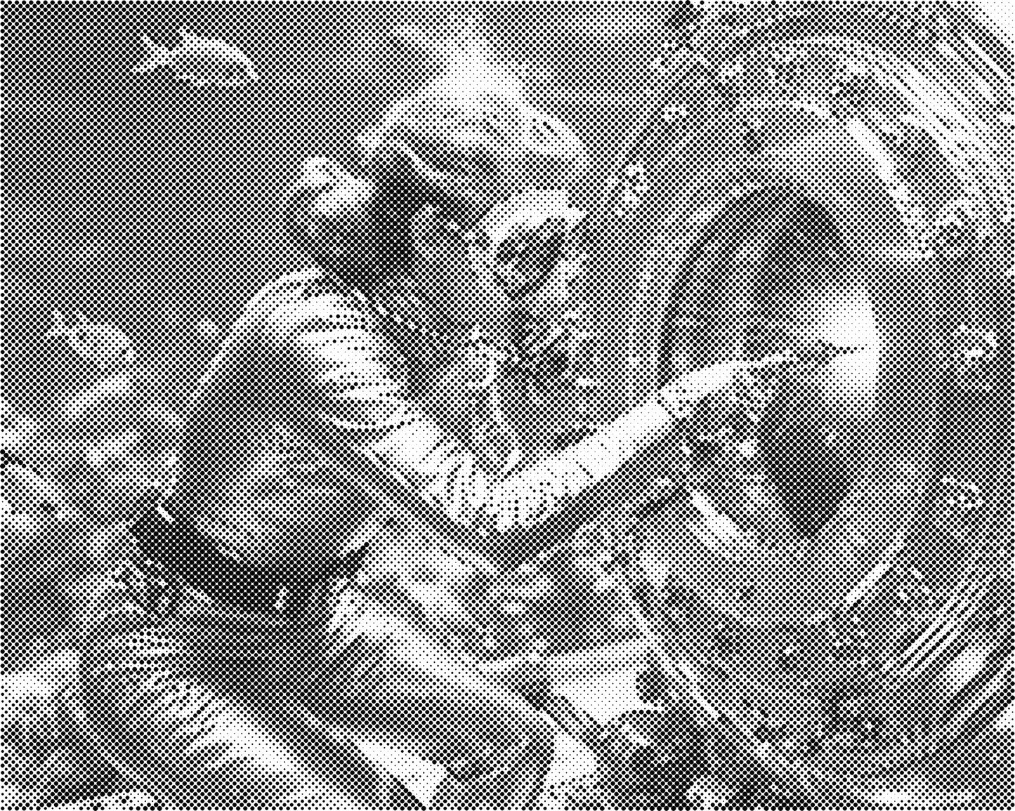 DOT Painting Portret – Stippenkunst op Canvas (40x50cm of 60x75cm)