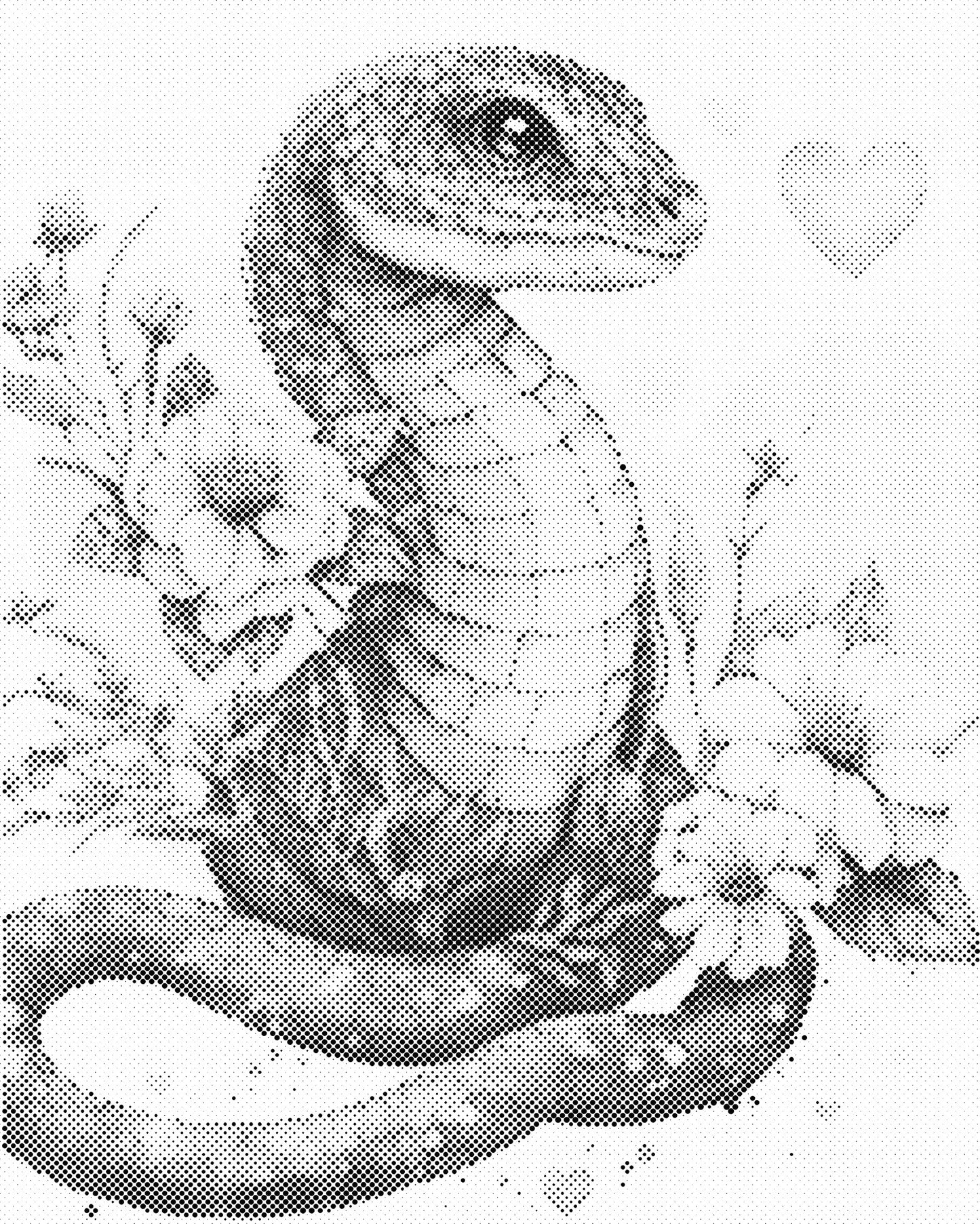 DOT Painting - Dieren op Canvas (40x50cm / 60x75cm)