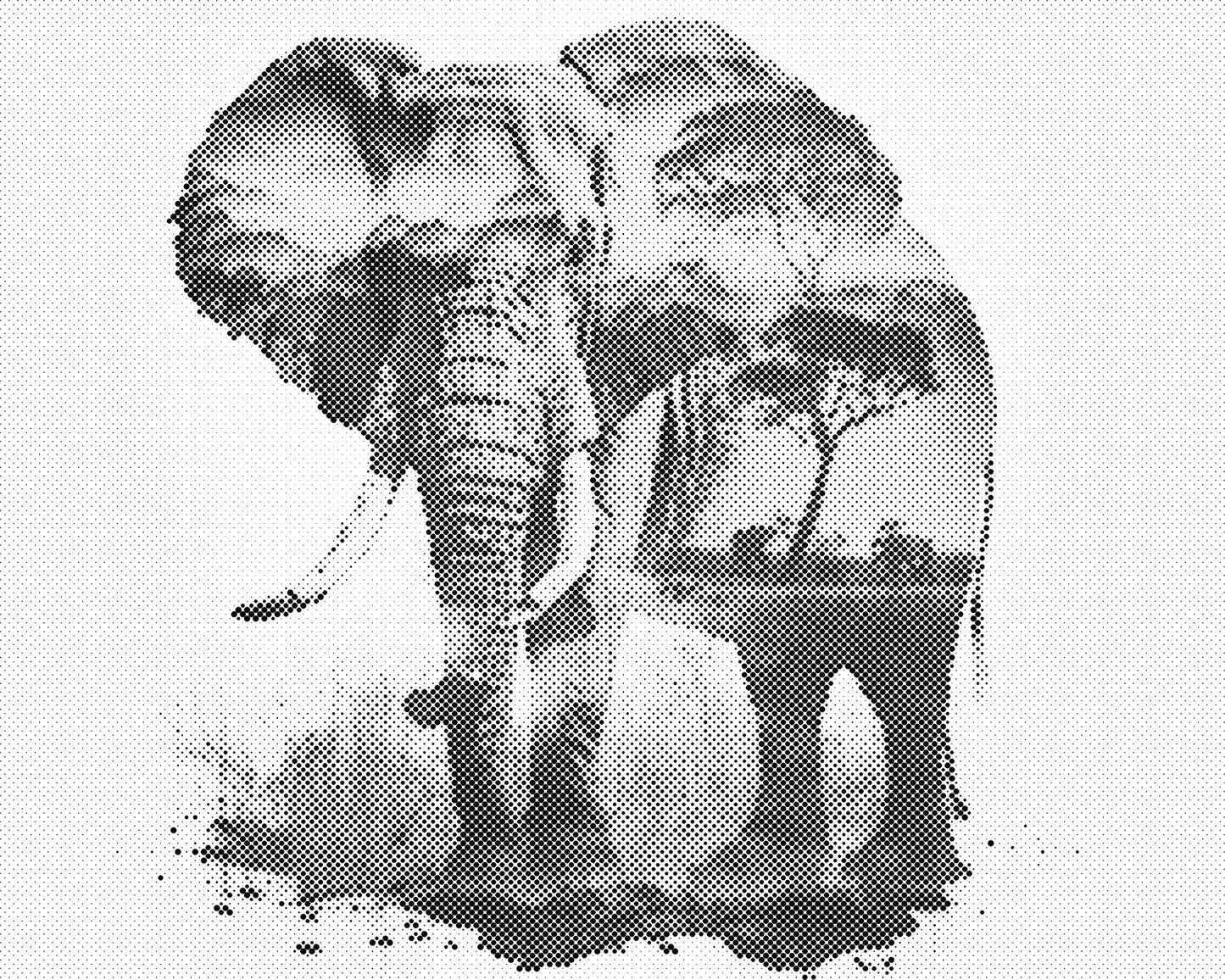 DOT Painting 40x50cm - Olifanten Design