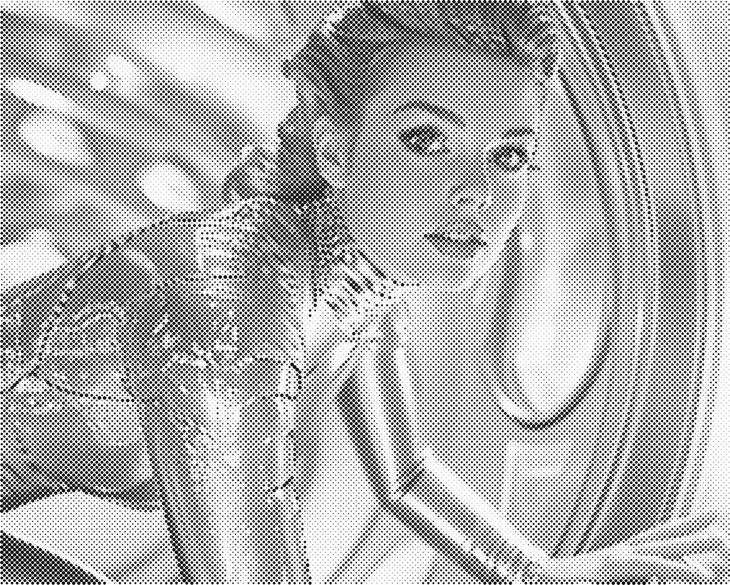 DOT Painting Portret – Stippenkunst op Canvas (40x50cm of 60x75cm)