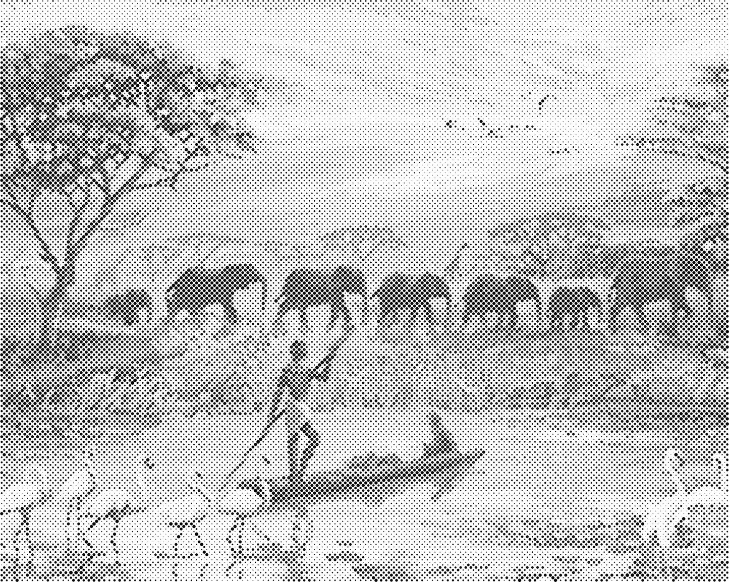 DOT Painting Landschappen en Steden - Verkrijgbaar in 40x50 cm en 60x75 cm