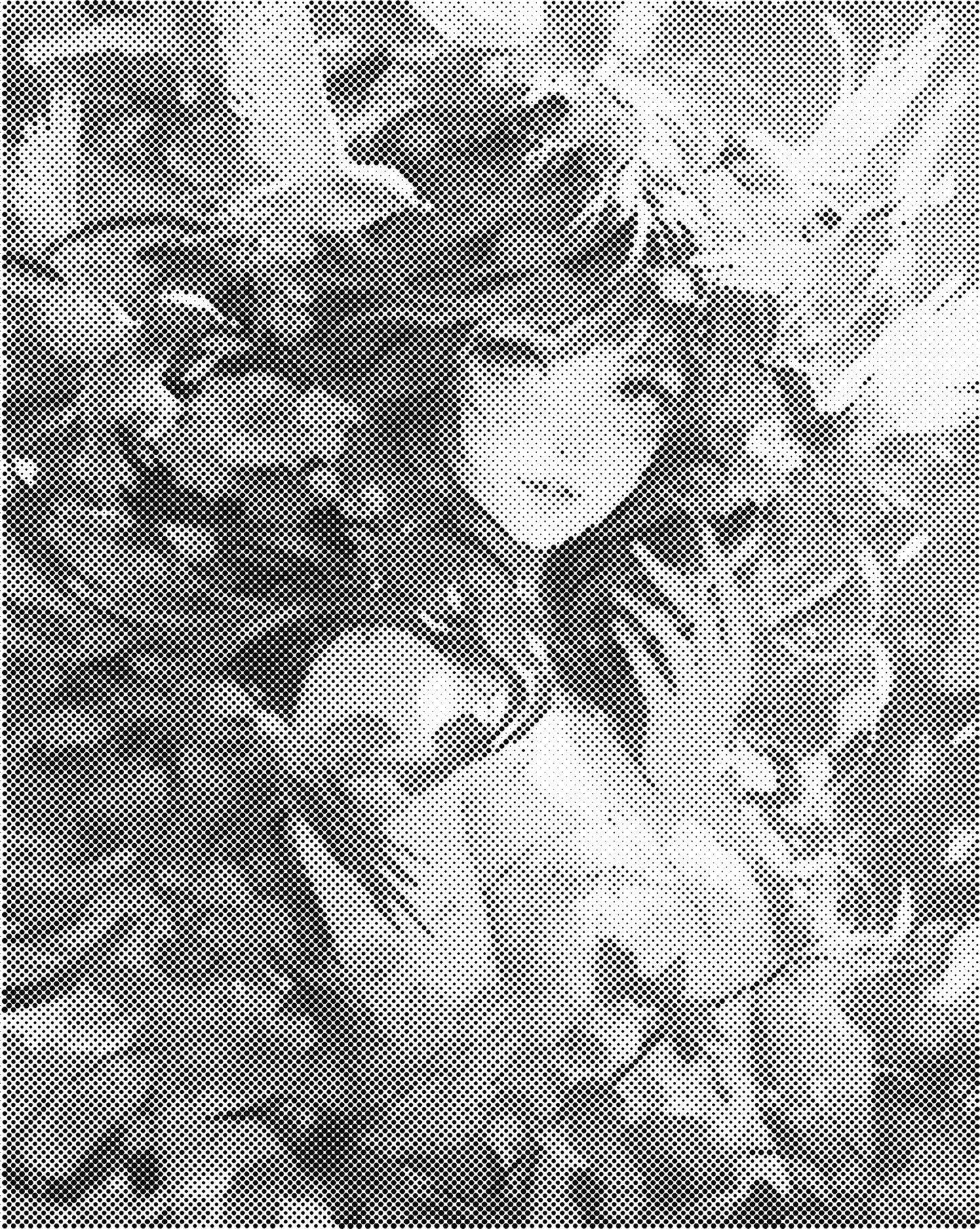 DOT Painting – Vrouwen | 40x50cm of 60x75cm