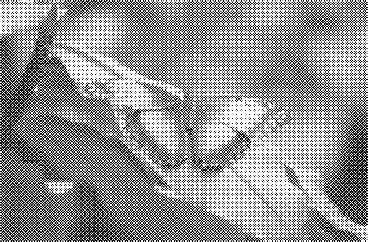 DOT Painting Dieren - Katten en Vogels