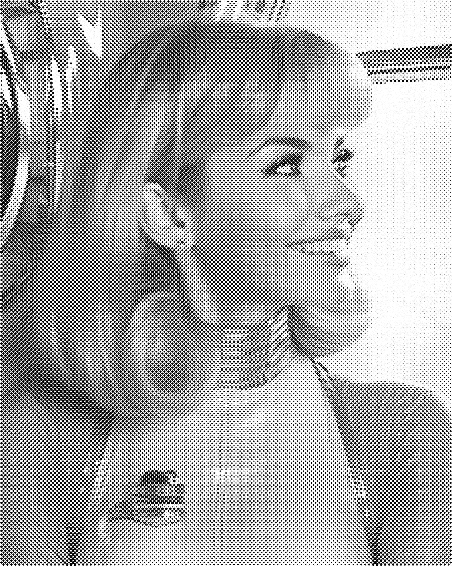 DOT Painting Portret – Stippenkunst op Canvas (40x50cm of 60x75cm)