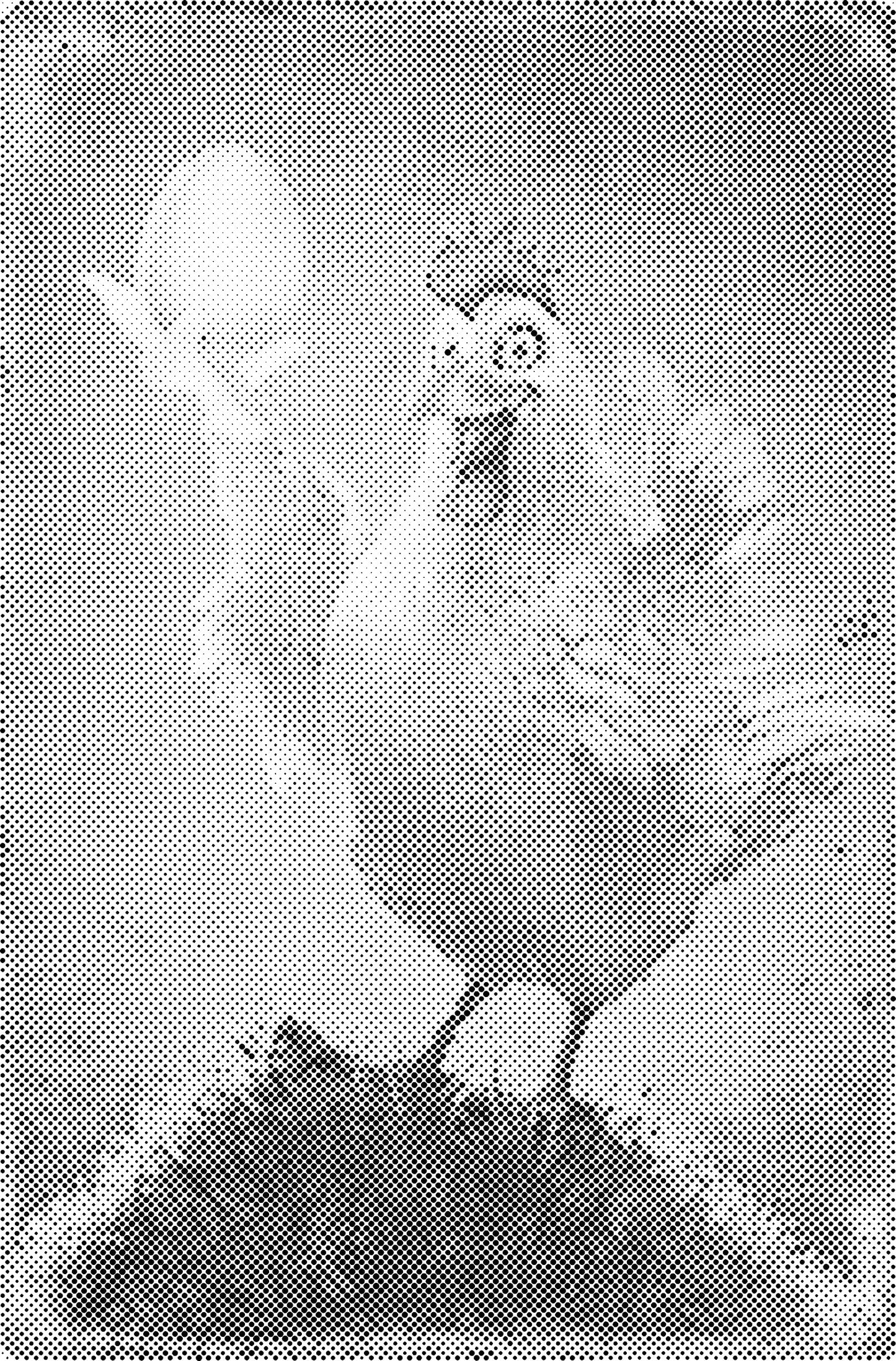 DOT Painting – Kippen & Hanen – 40x60cm t/m 60x90cm – Met of zonder stiften