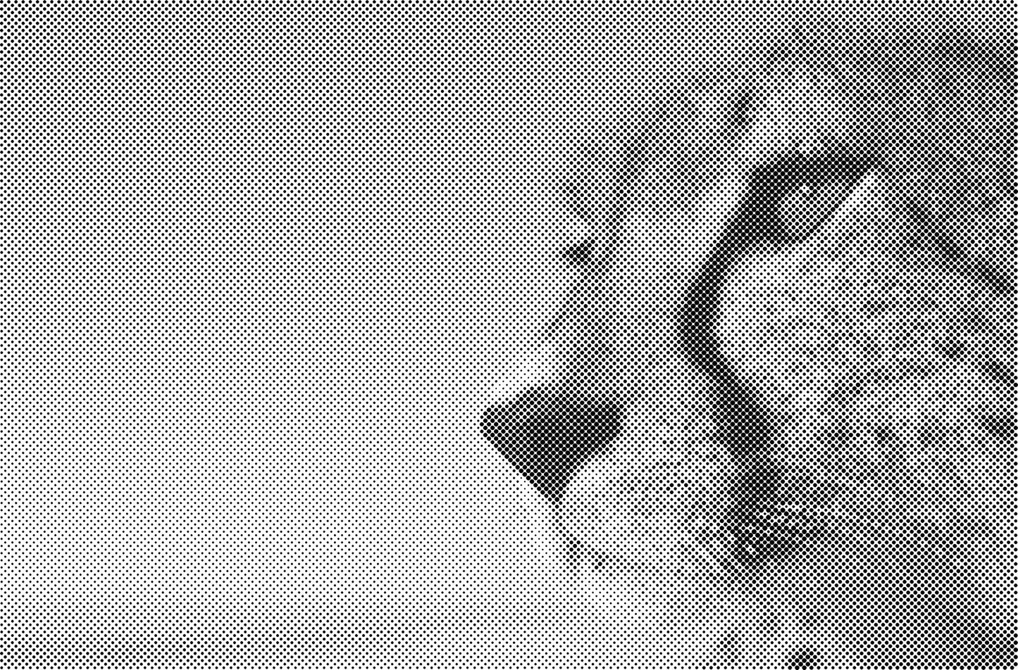 DOT Painting Katten - Verkrijgbaar in 40x60cm, 50x75cm en 60x90cm