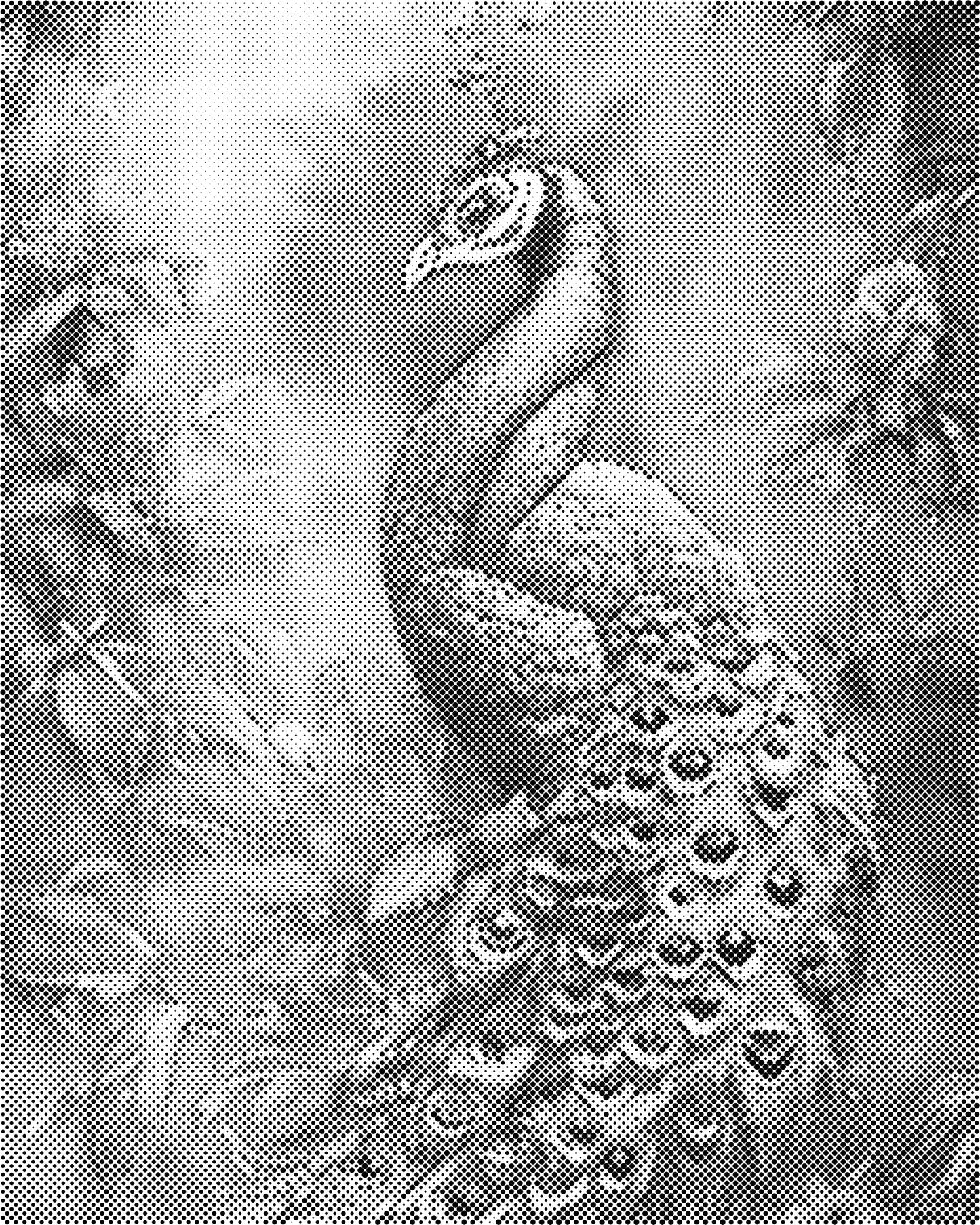 DOT Painting - Dieren op Canvas (40x50cm / 60x75cm)