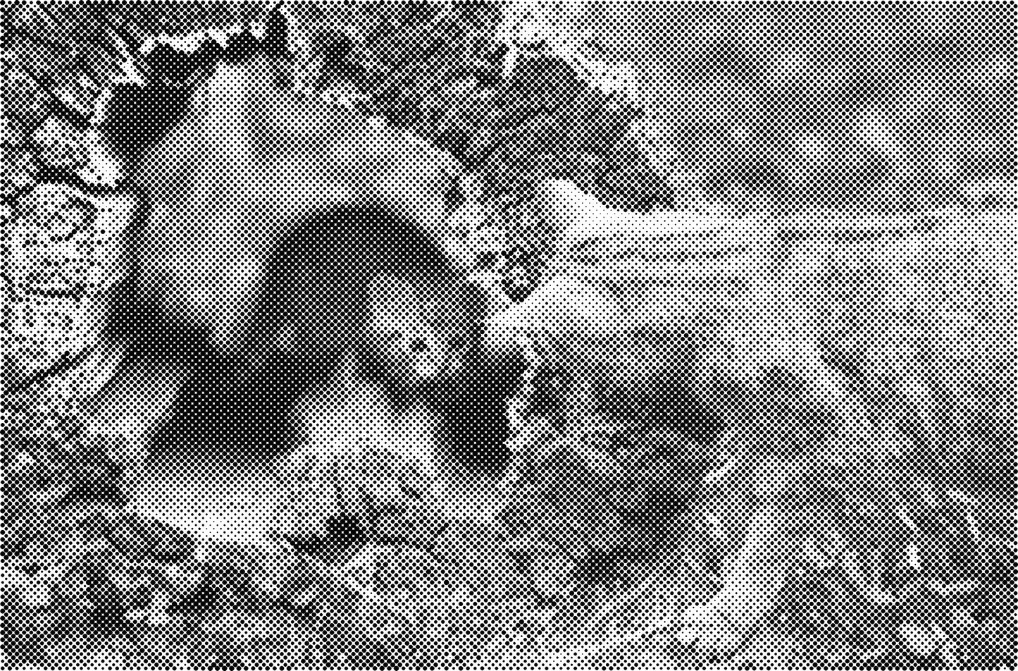 DOT Painting Katten - Verkrijgbaar in 40x60cm, 50x75cm en 60x90cm