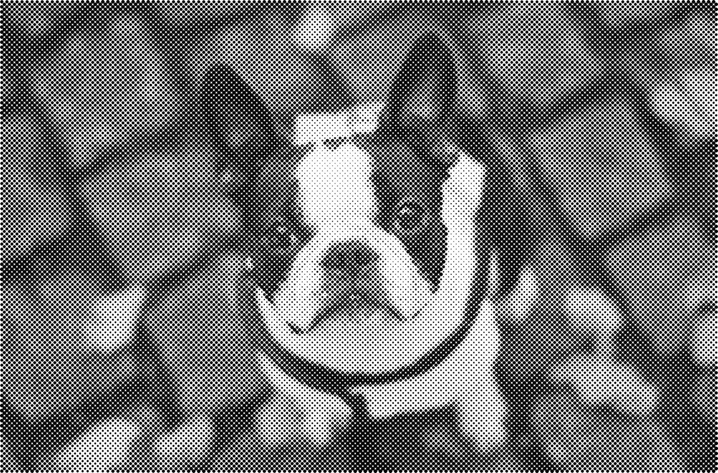 DOT Painting Dieren - (Paarden, Giraf, Vogels) - Verkrijgbaar in 40x60cm, 50x75cm, 60x90cm