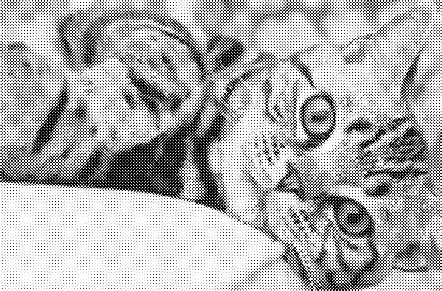 DOT Painting Katten - Verkrijgbaar in 40x60cm, 50x75cm en 60x90cm