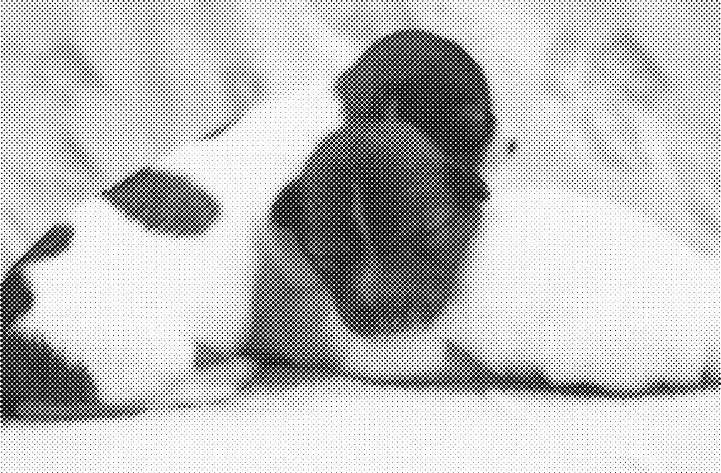 DOT Painting - Wolven en Honden