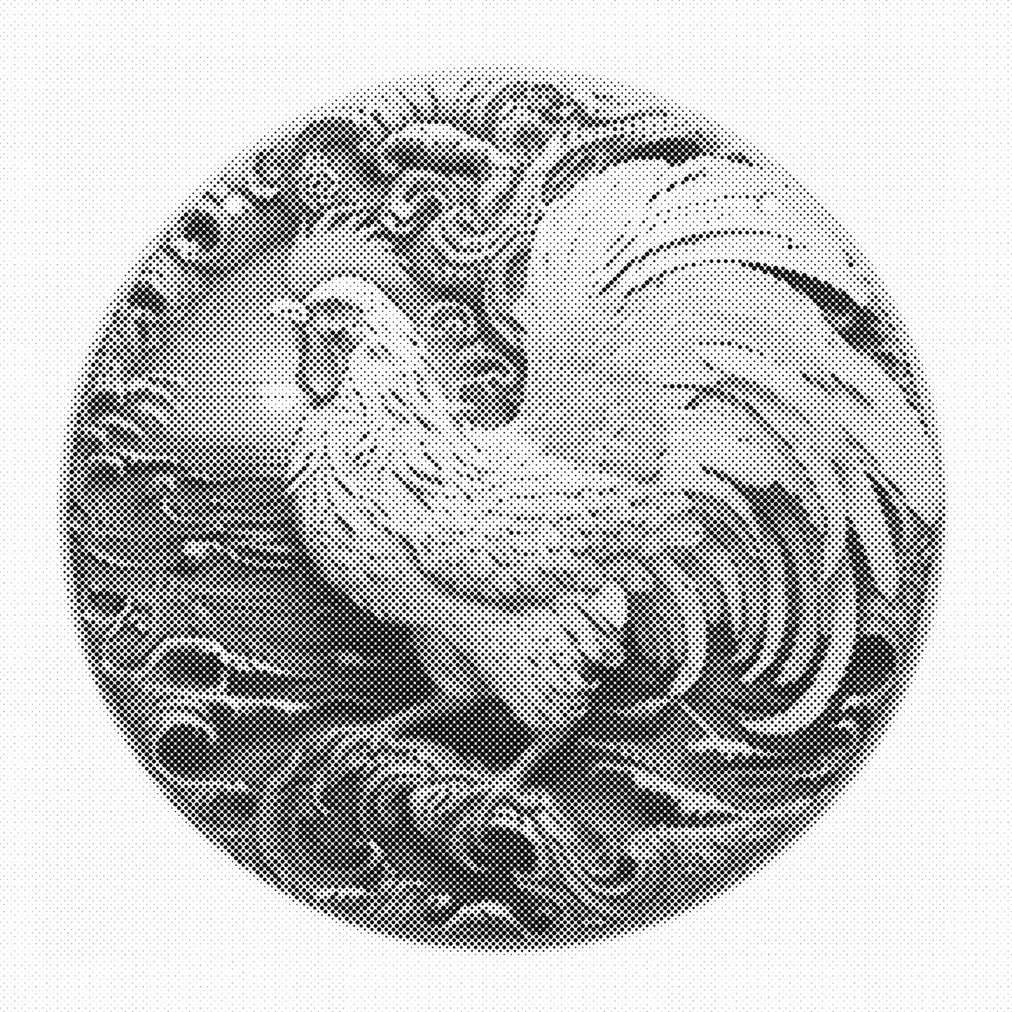 DOT Painting – Kippen & Hanen (40x40cm, 50x50cm of 60x60cm)