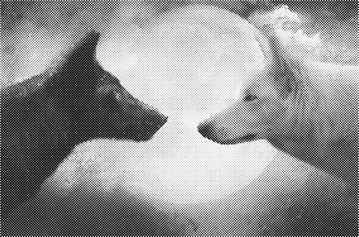 DOT Painting - Wolven en Honden