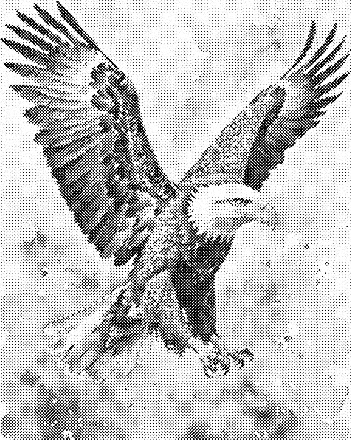 DOT Painting – Dieren op Canvas (40x50cm of 60x75cm) – Met of zonder stiften