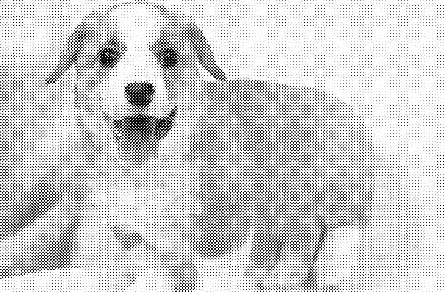 DOT Painting - Wolven en Honden