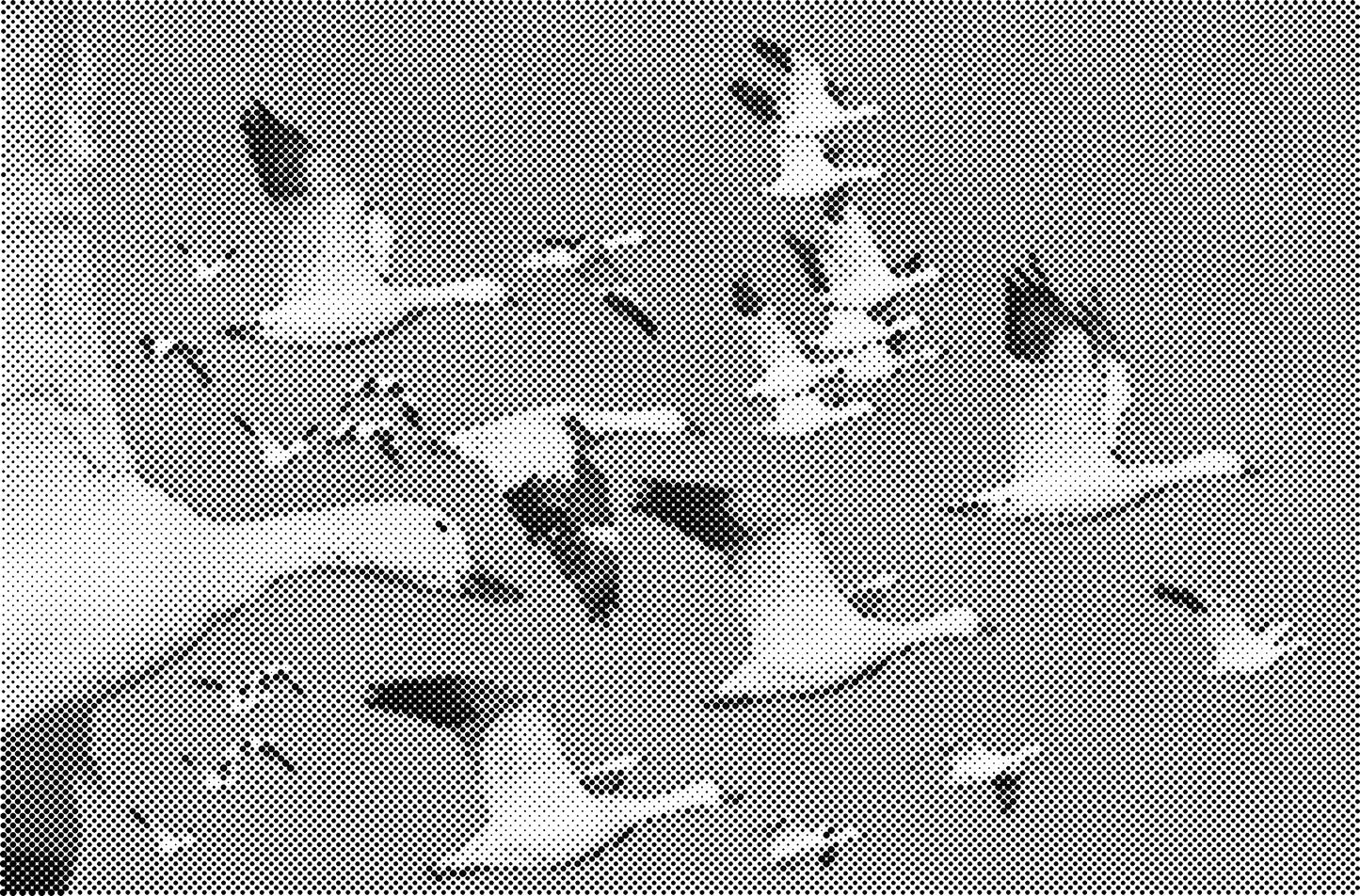 DOT Painting Dieren - (Paarden, Giraf, Vogels) - Verkrijgbaar in 40x60cm, 50x75cm, 60x90cm