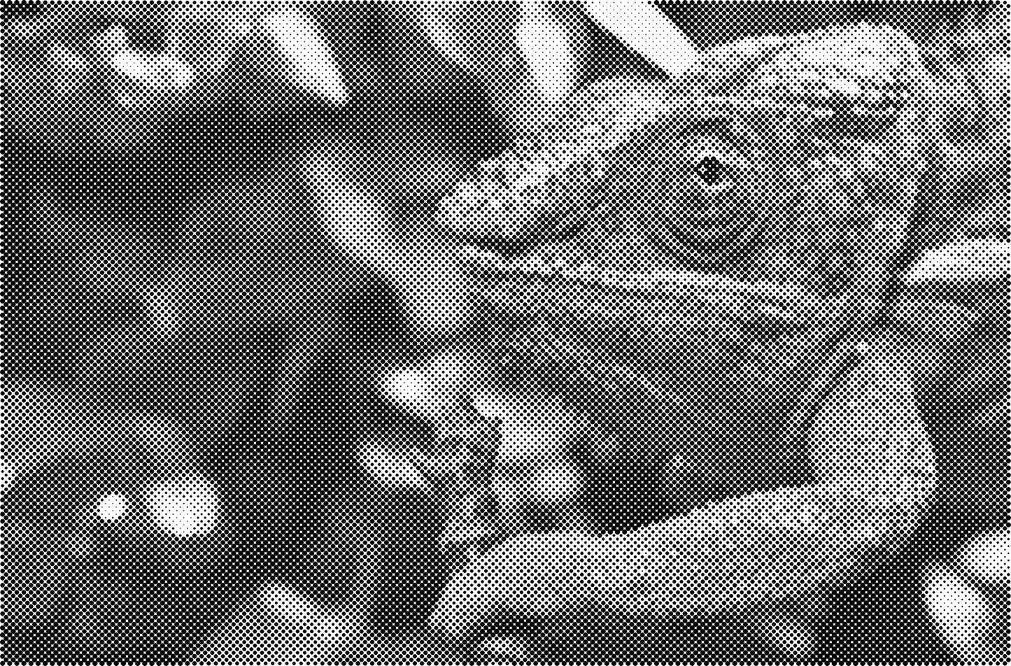 DOT Painting Katten - Verkrijgbaar in 40x60cm, 50x75cm en 60x90cm