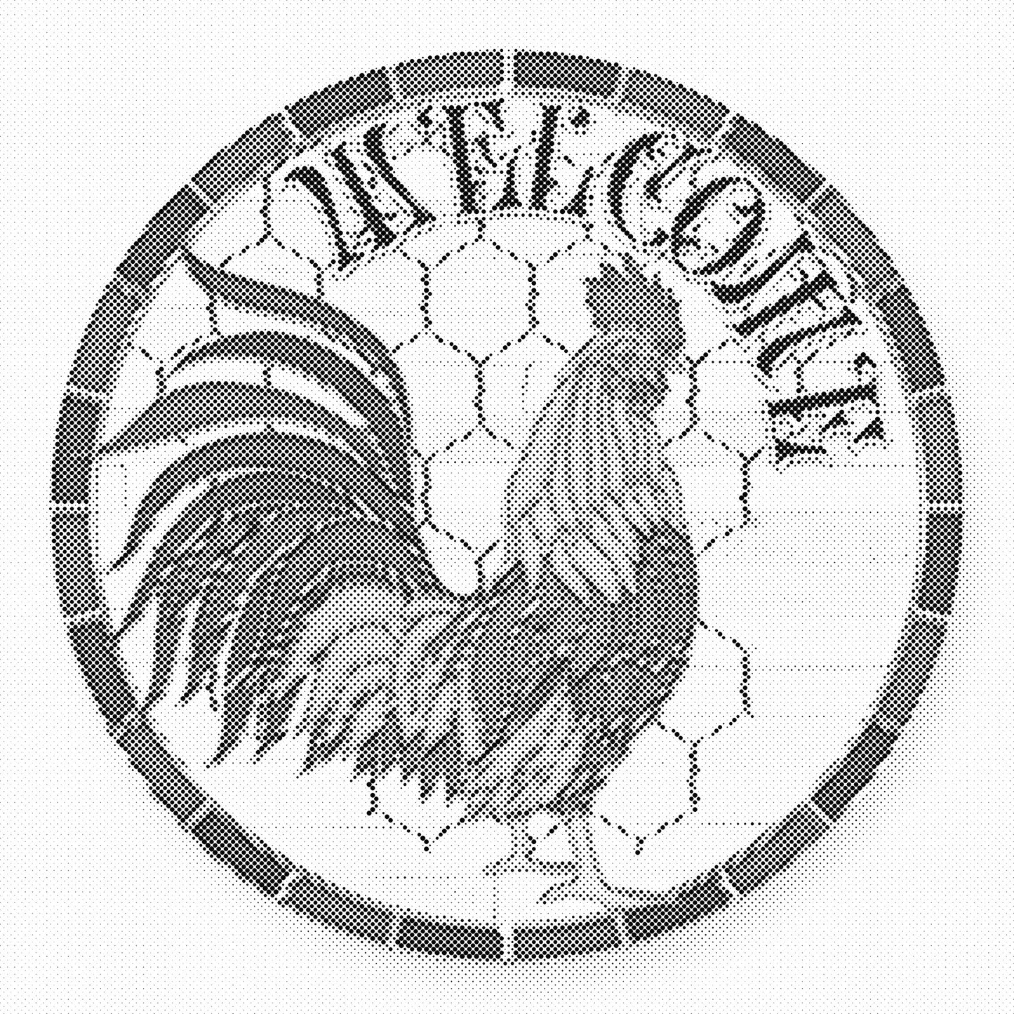 DOT Painting – Kippen & Hanen (40x40cm, 50x50cm of 60x60cm)